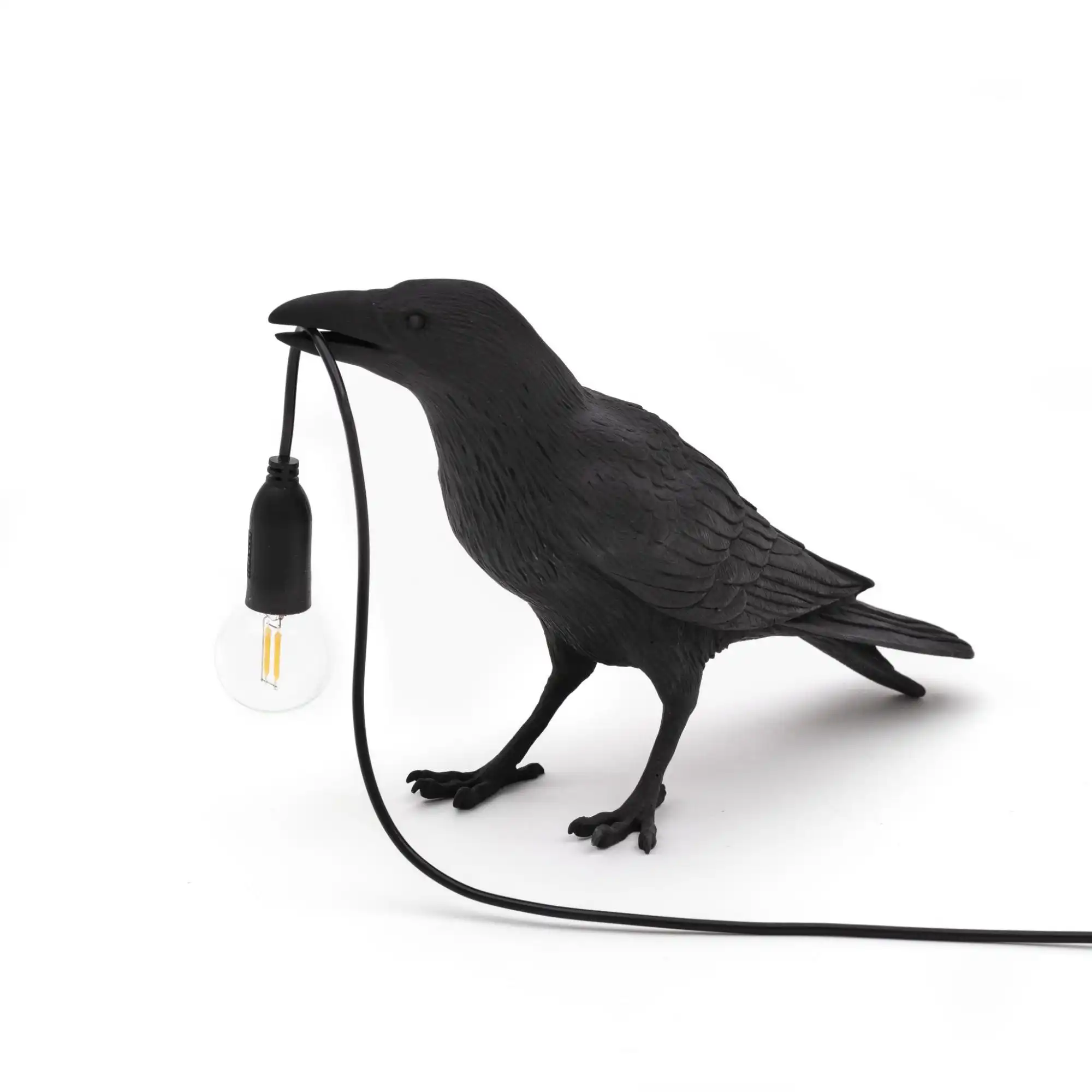 Bird Lamp Waiting