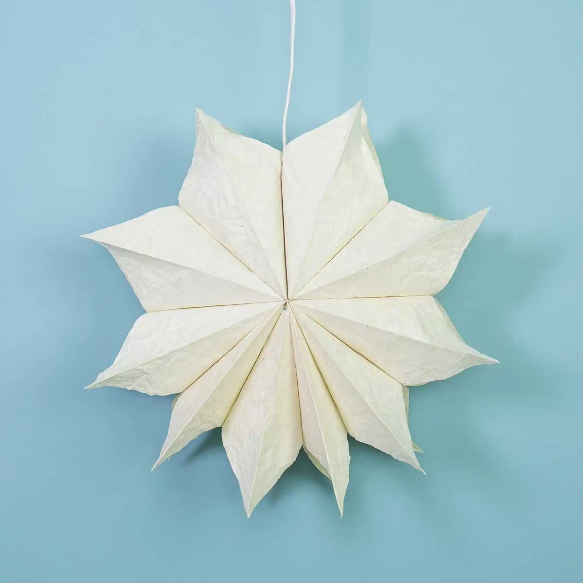 Wrinkle adventsstjerne