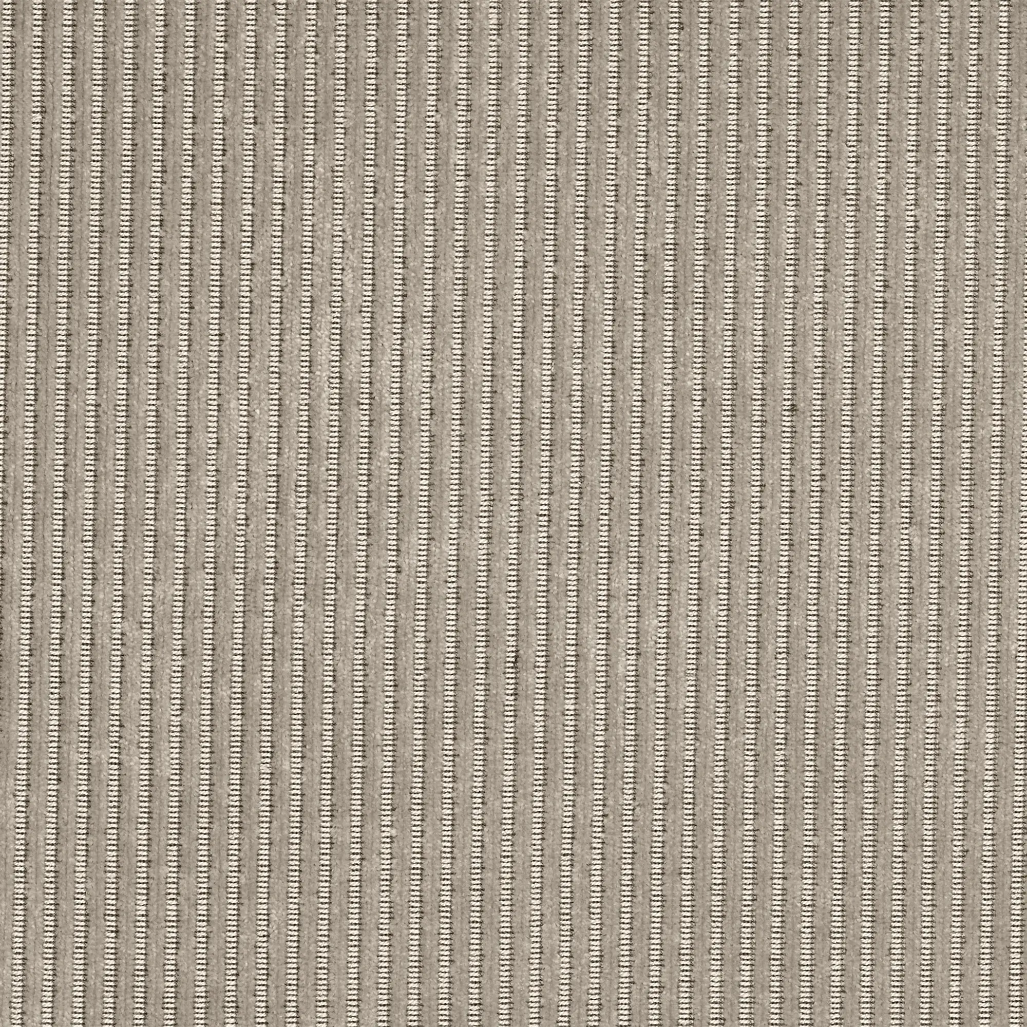 10807670__P_image_116fc10c-8e51-4e78-88b7-b3b8a795d970