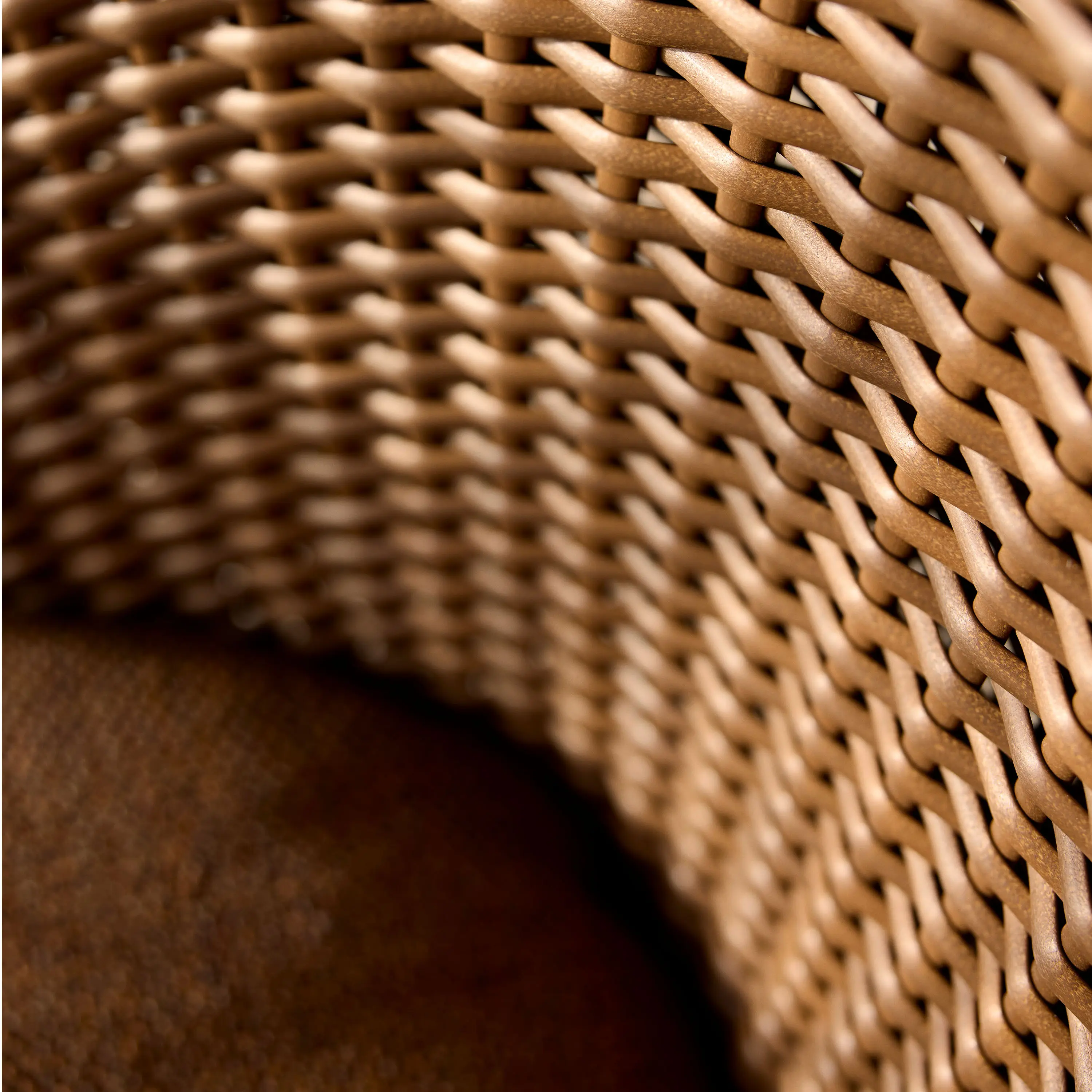 10810300__P_image_18b418a2-78af-48b9-a145-54d9f3b8e8d1