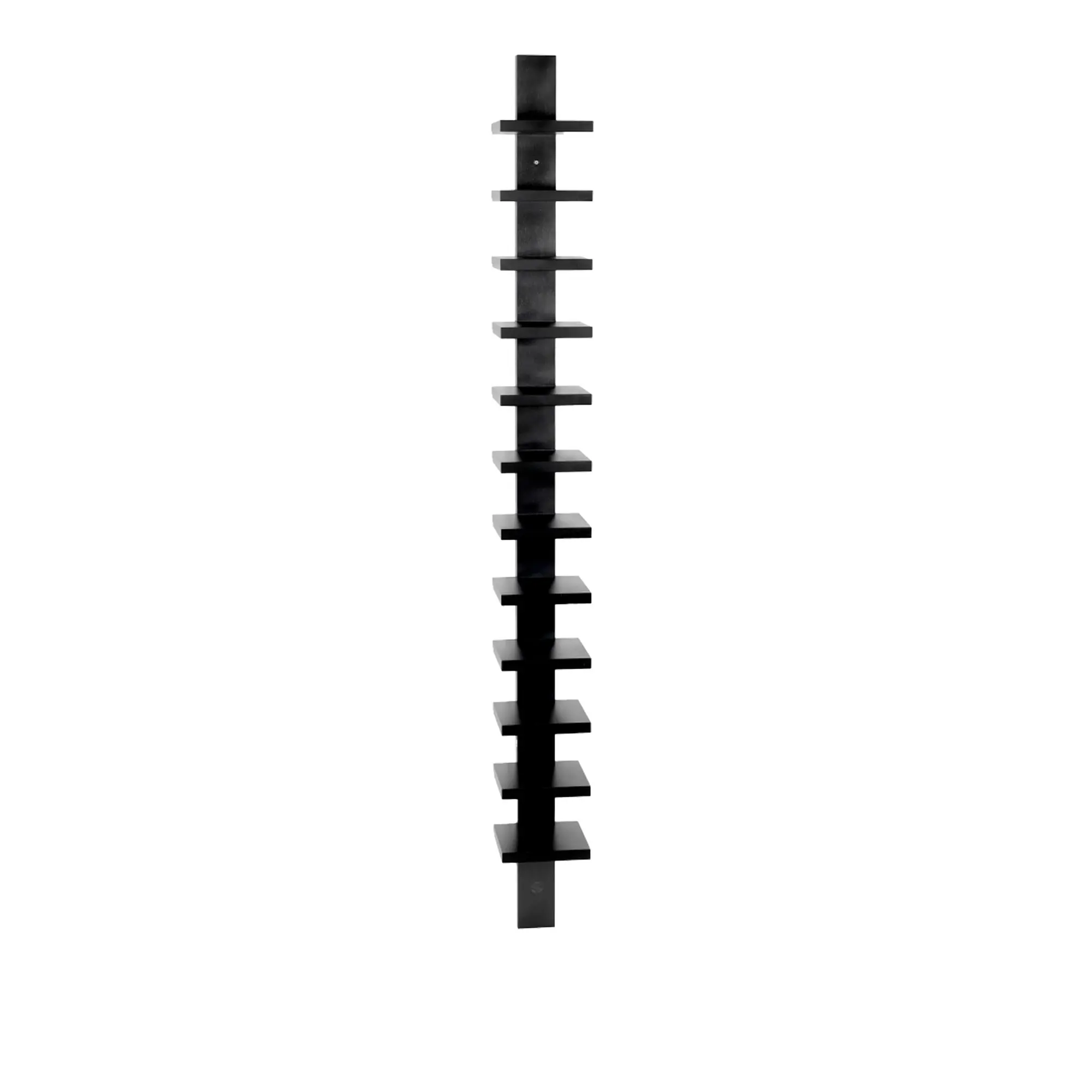 10006379