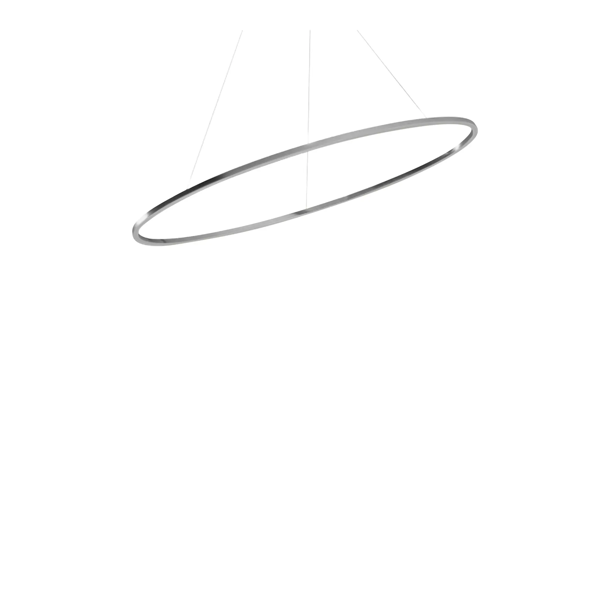 10643677__P_image_220eb2b5-1c82-40ce-89ff-1ae6e9d21e14