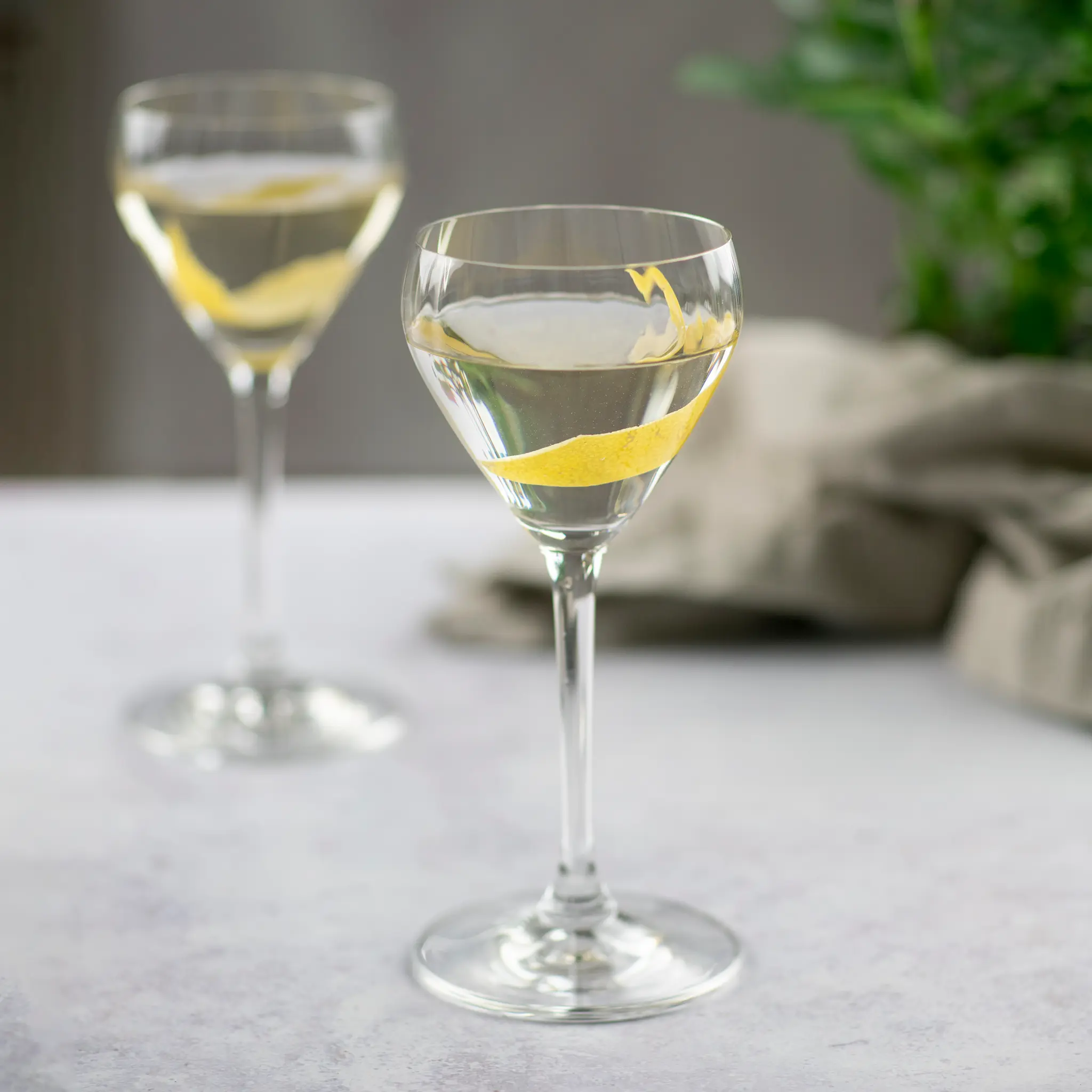 Drink Specific Nick & Nora Large 2-Pack