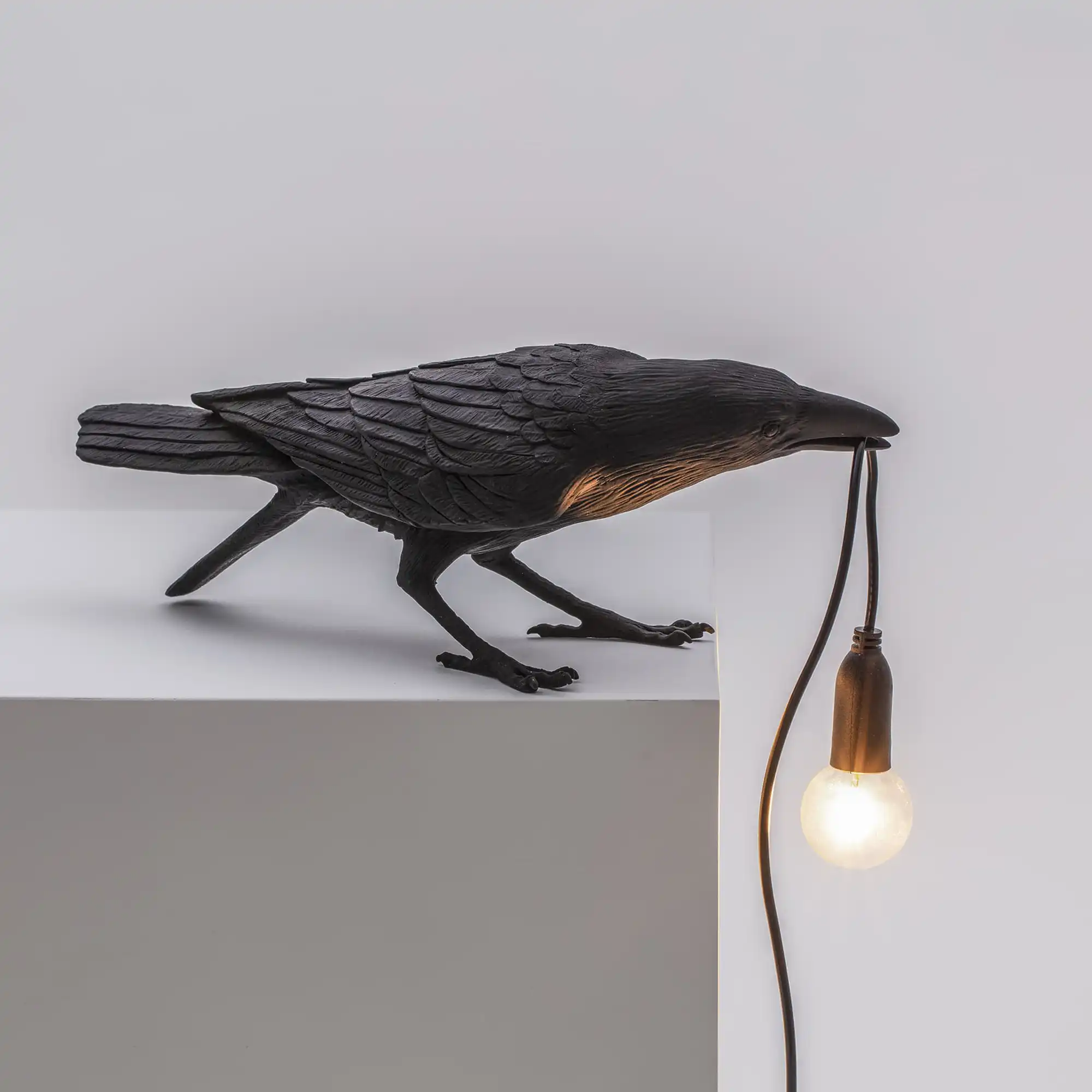 Bird Lamp Playing