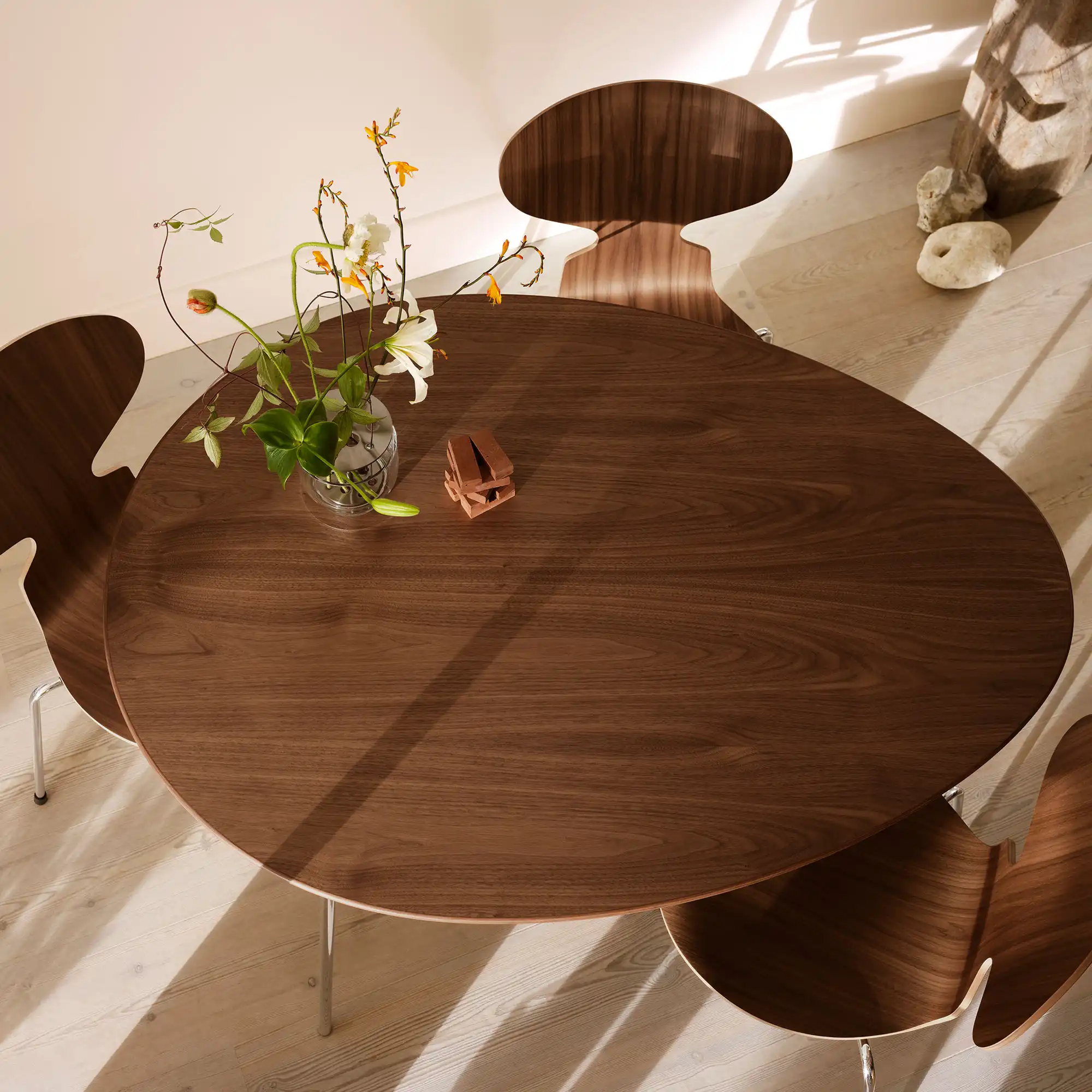 Egg Table Walnut