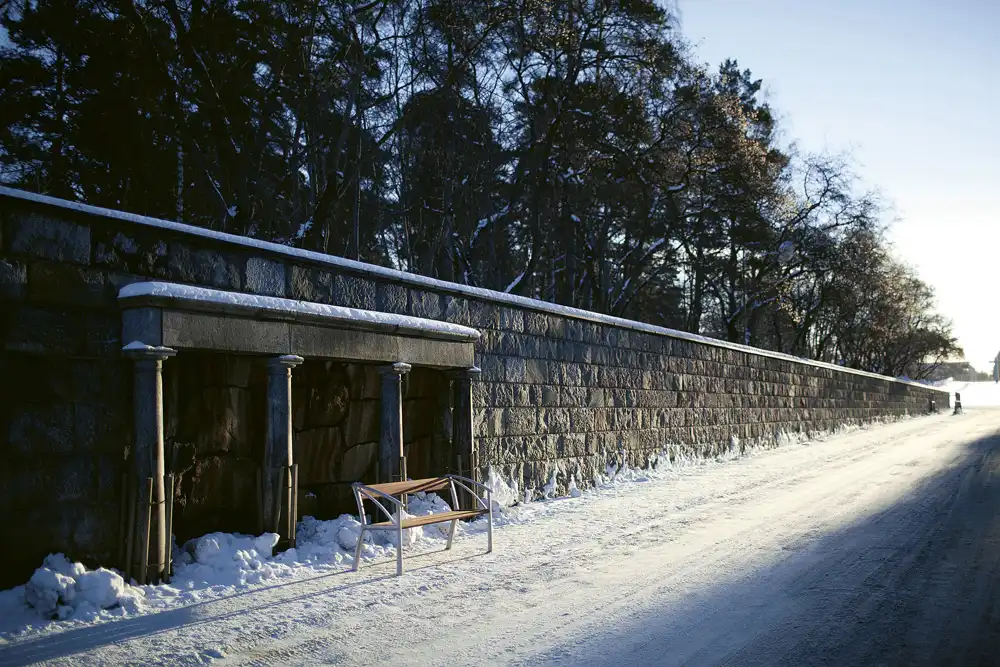 Sneckan Svartlakkert / Svartlakkert Furu