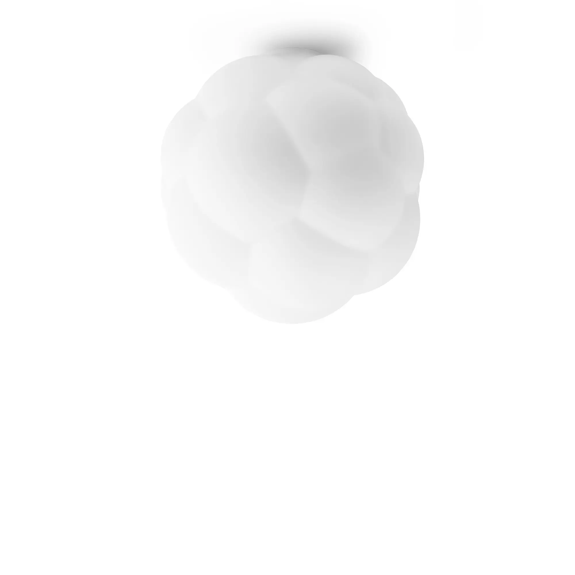 10742722__P_image_55937b3d-4336-41ee-8a77-e6579b952574