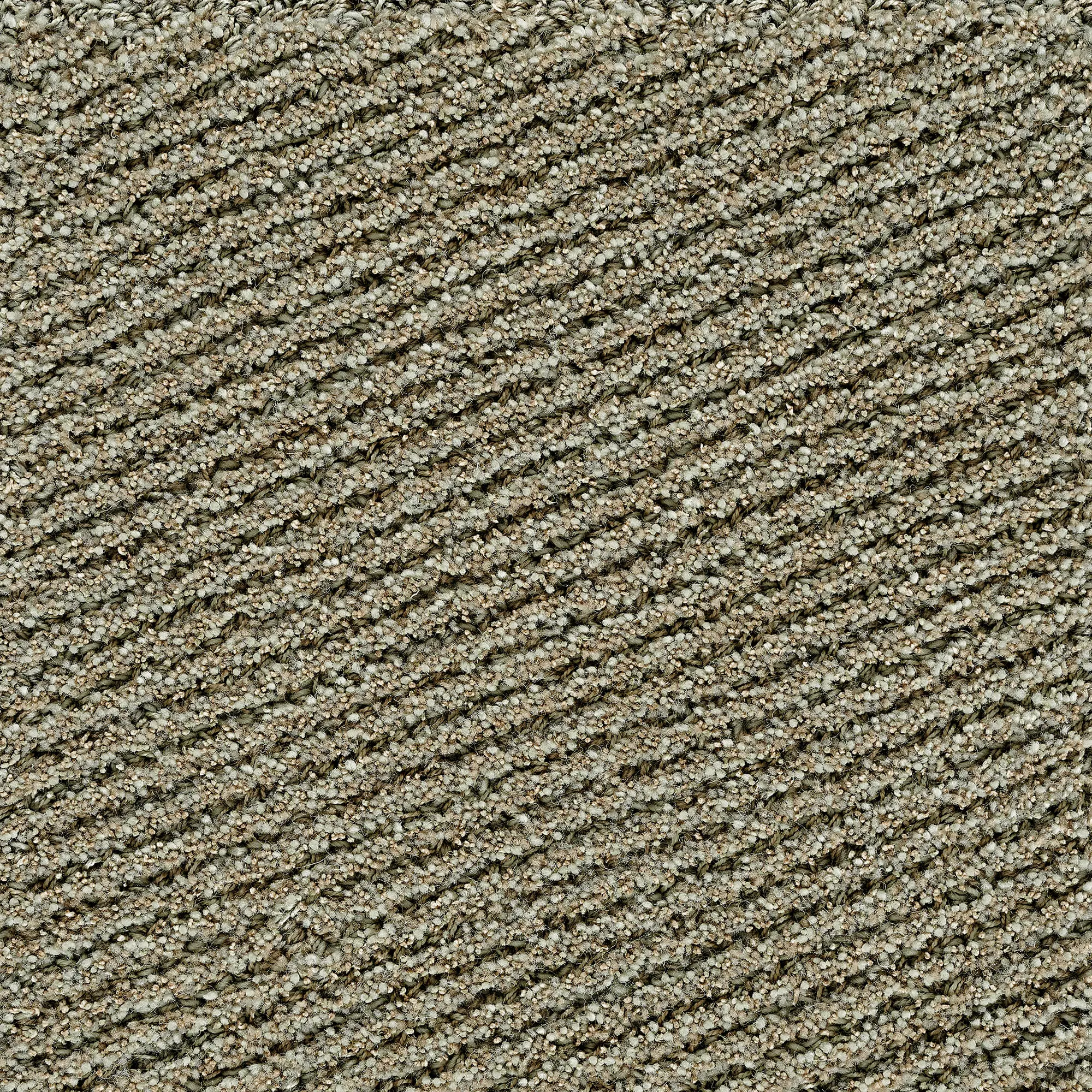 10755667__P_image_5e04623e-46be-435c-947b-b3c5b19f7f6d