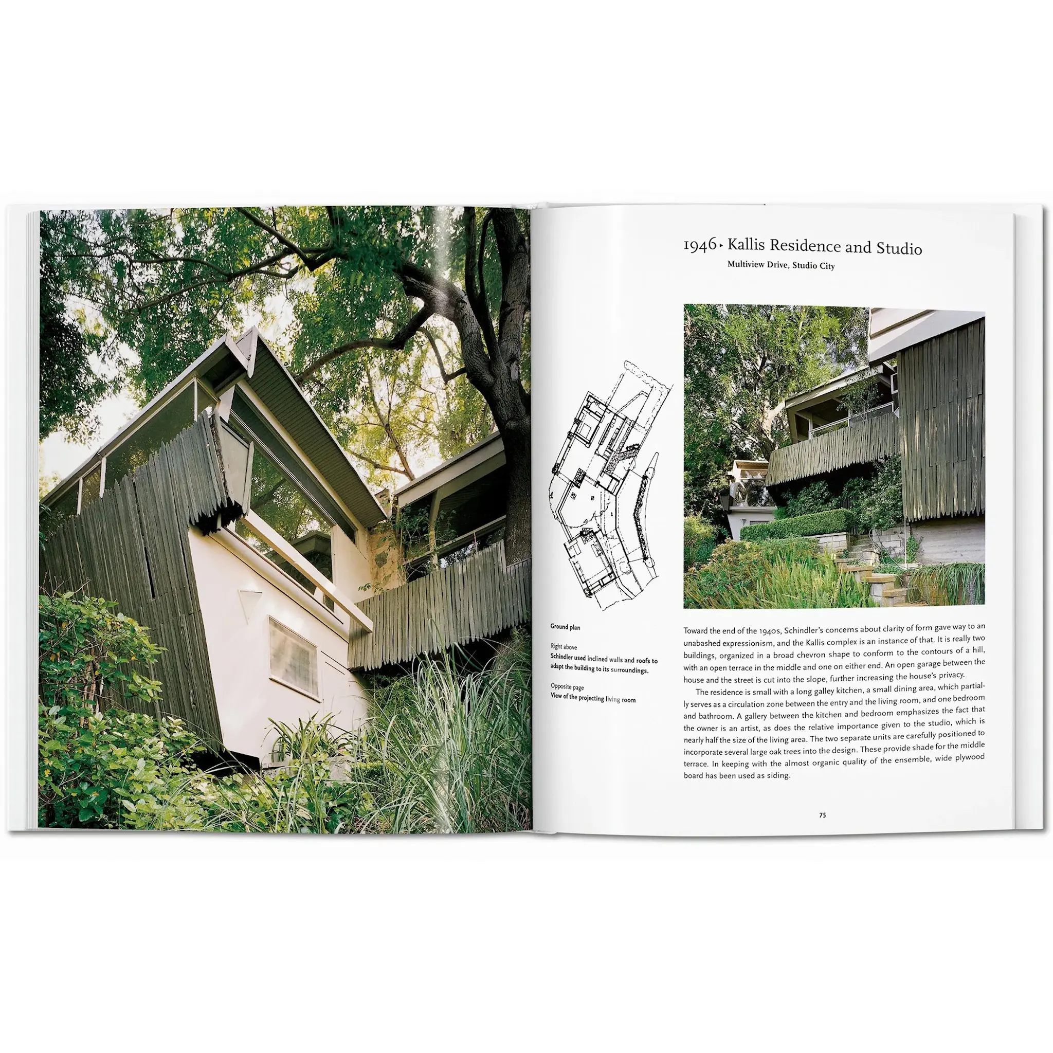 Schindler - Basic Art Series arkitekturbok
