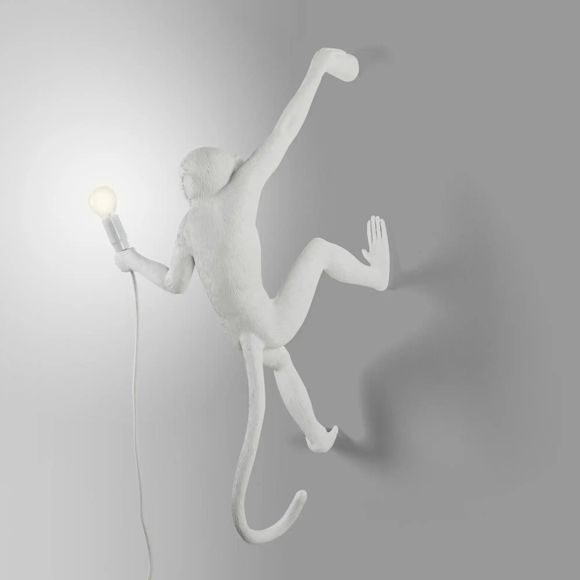 Monkey Lamp Hanging