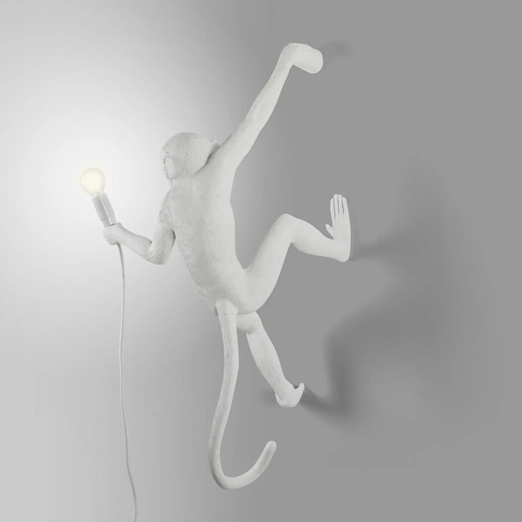 Monkey Lamp Hanging