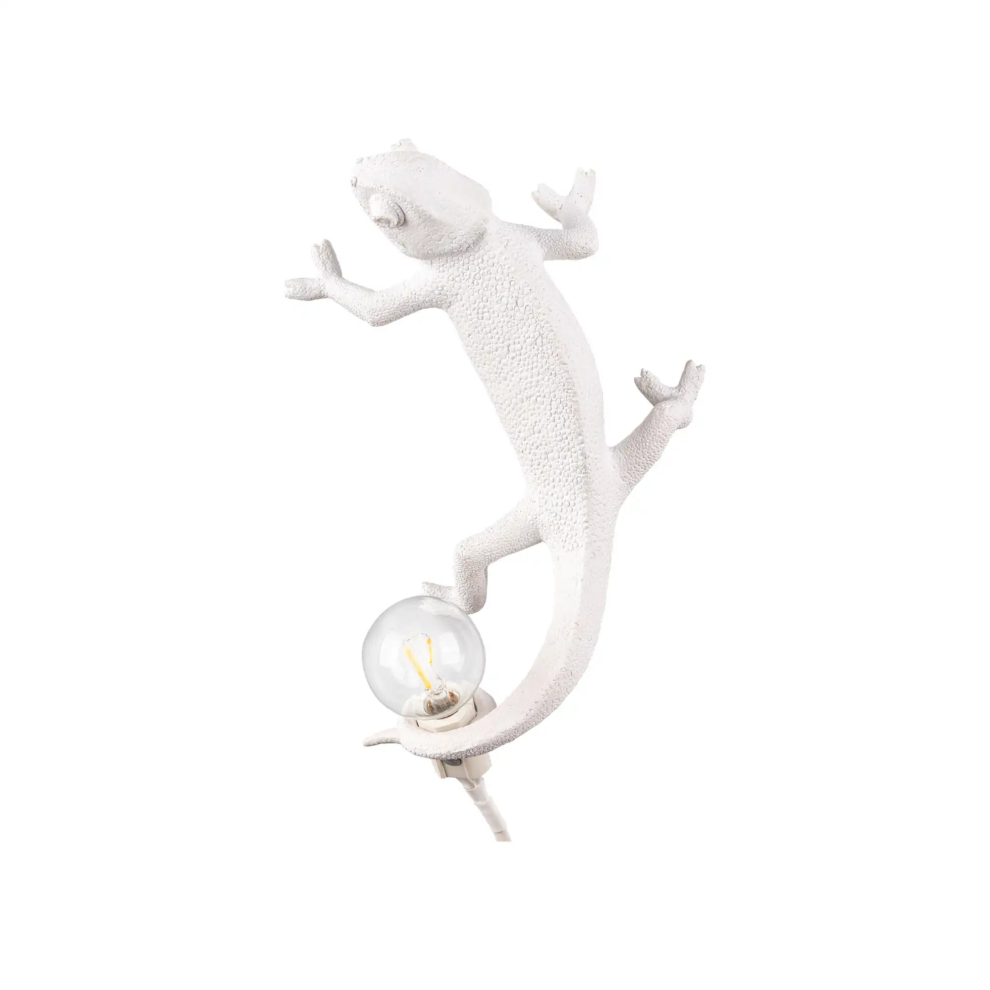 Chameleon Lamp