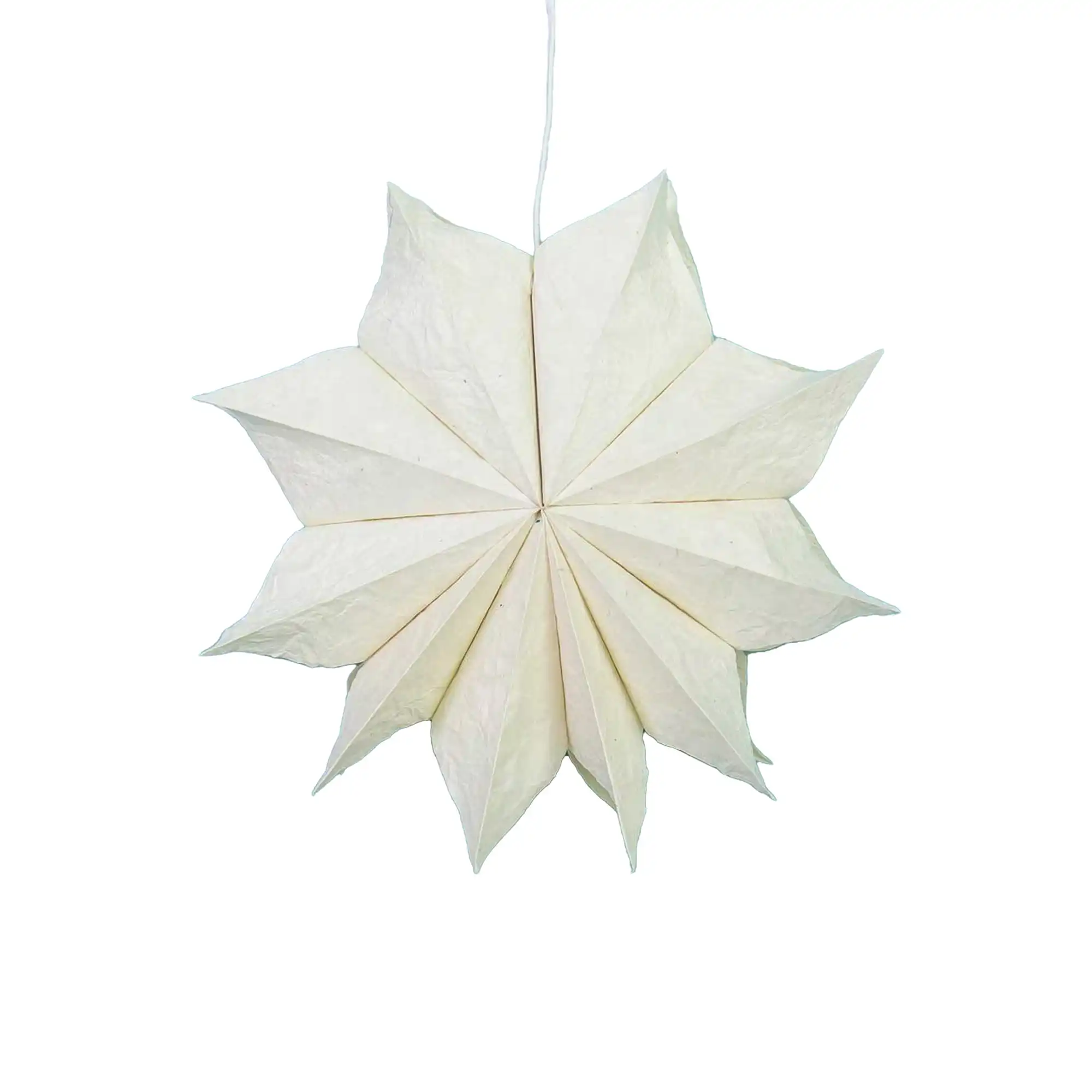 Wrinkle adventsstjerne