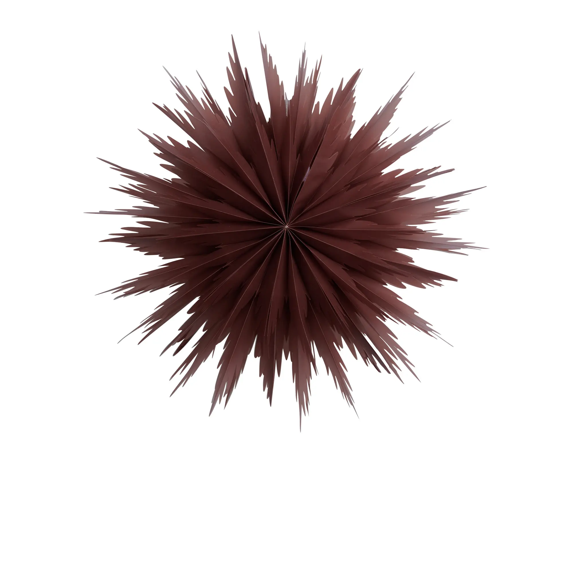 10749708__P_image_8514b336-fd22-47ec-bdc0-24ebad038aa4