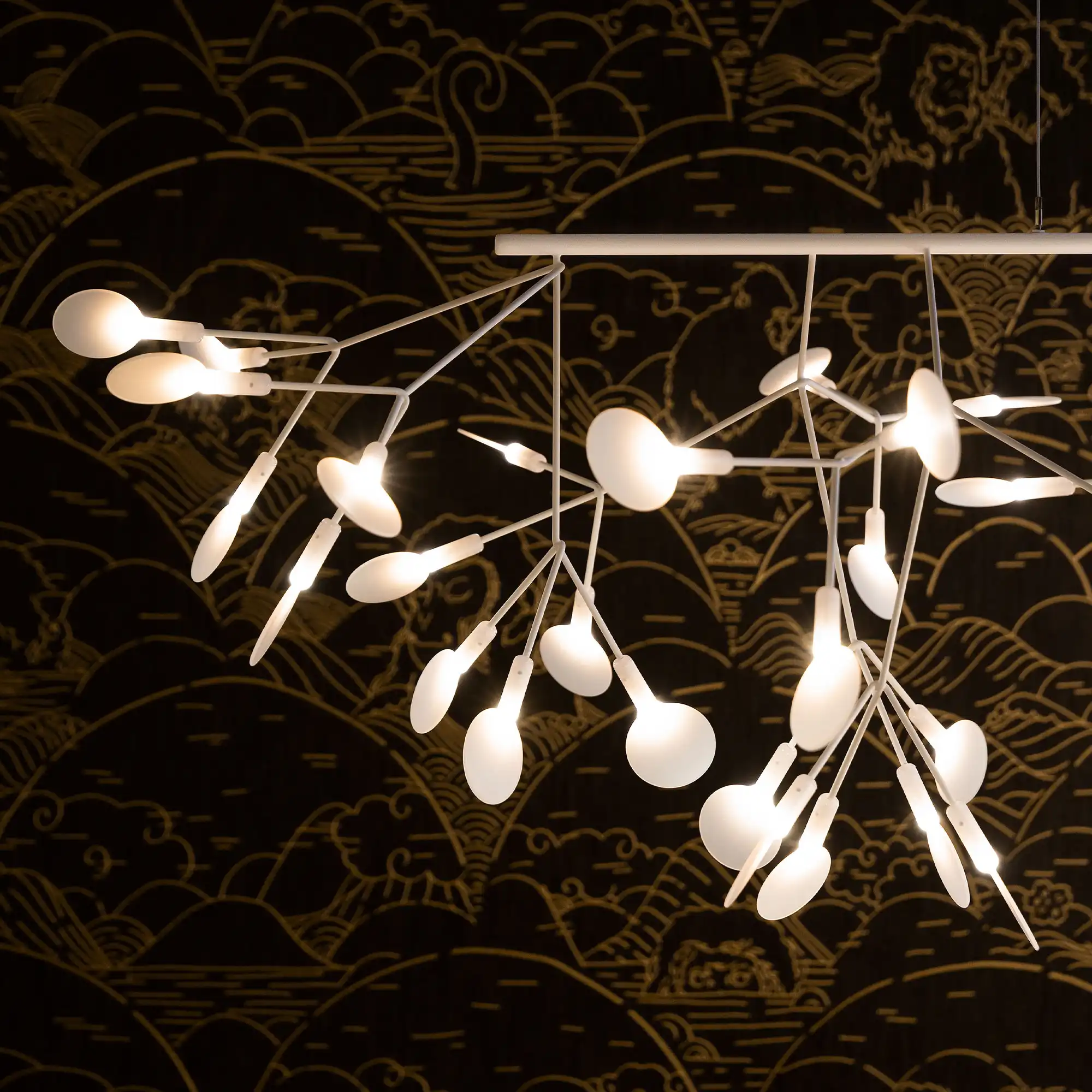 Heracleum III Linear