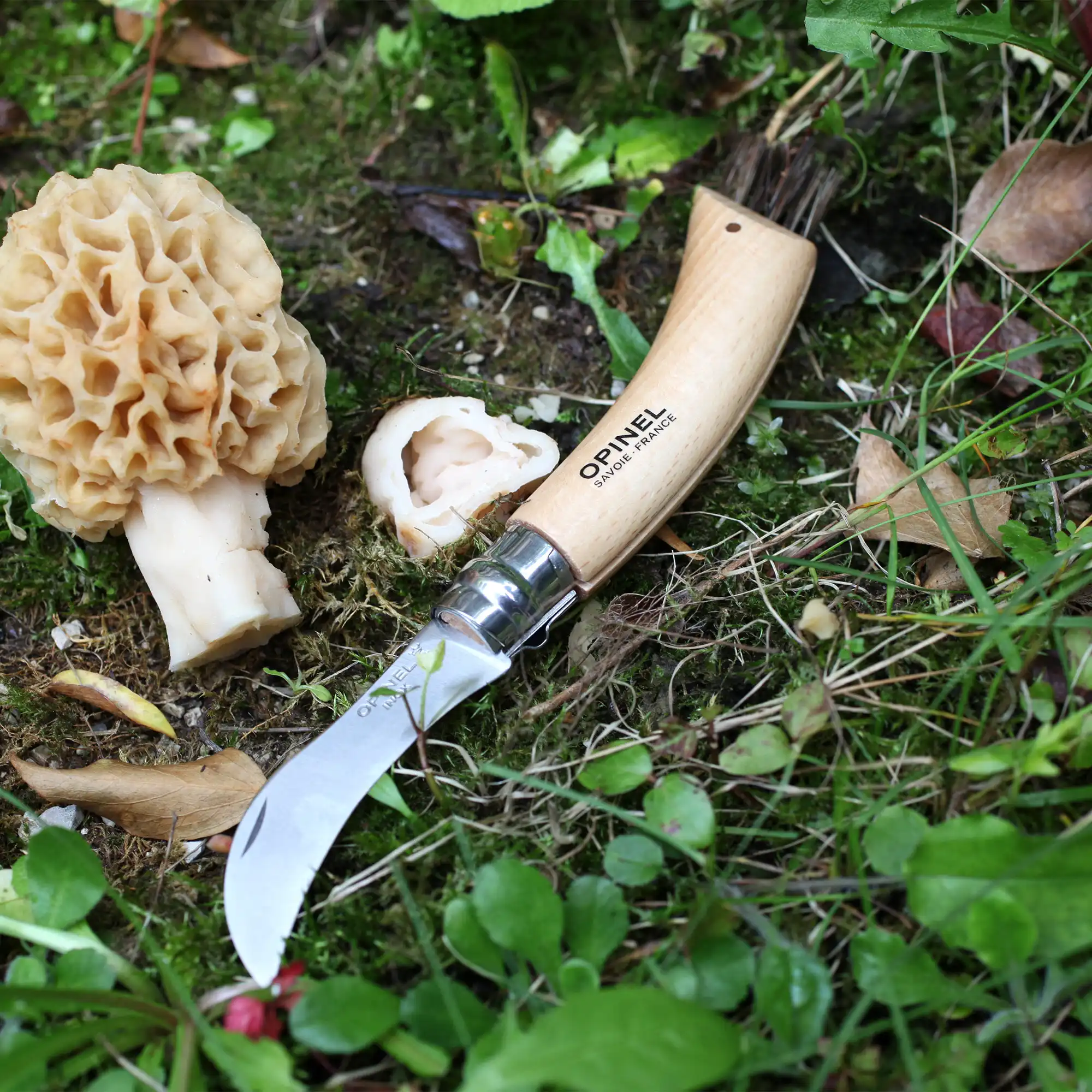 N°8 Mushroom Knife