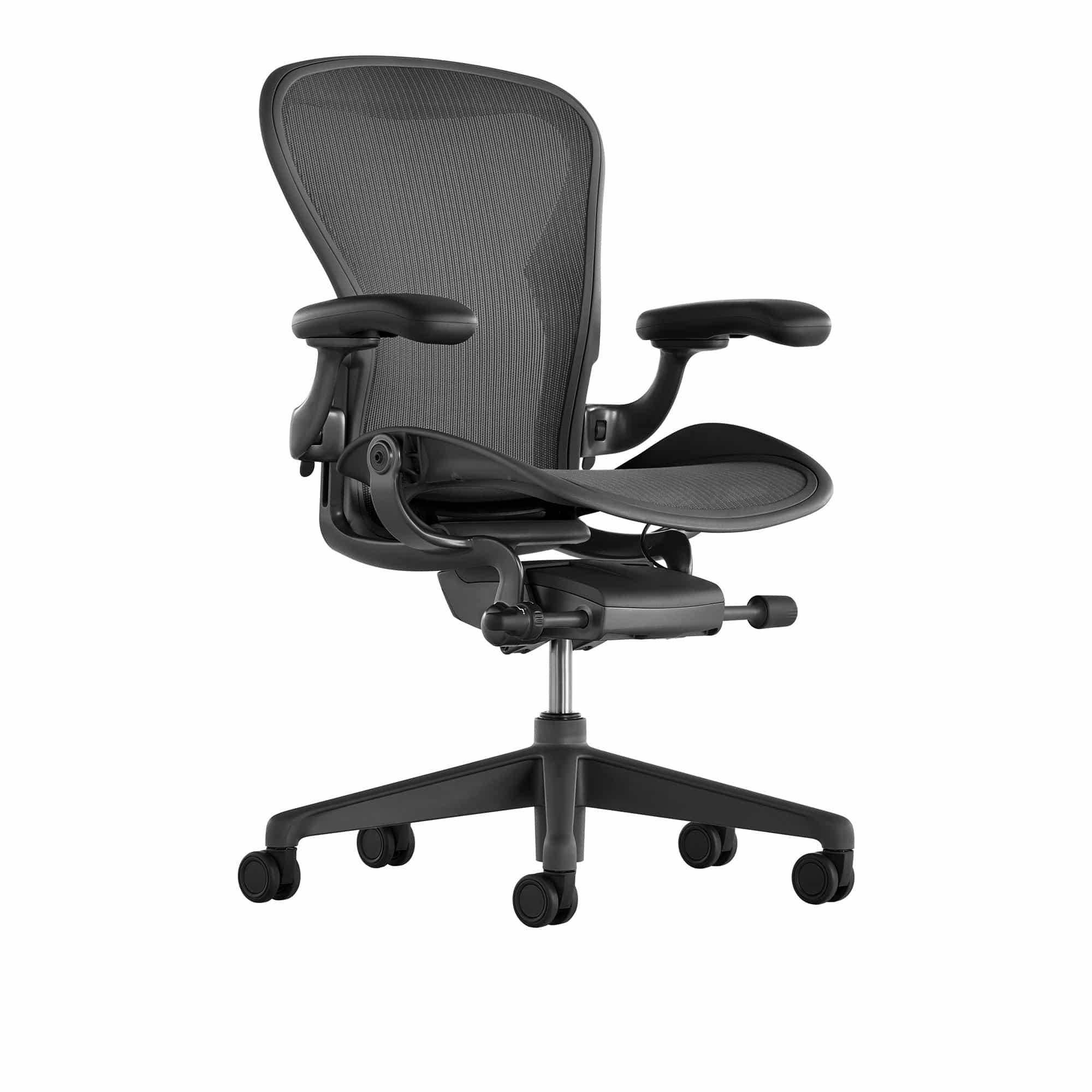 Aeron Chair Basic Back Support - Graphite/Graphite