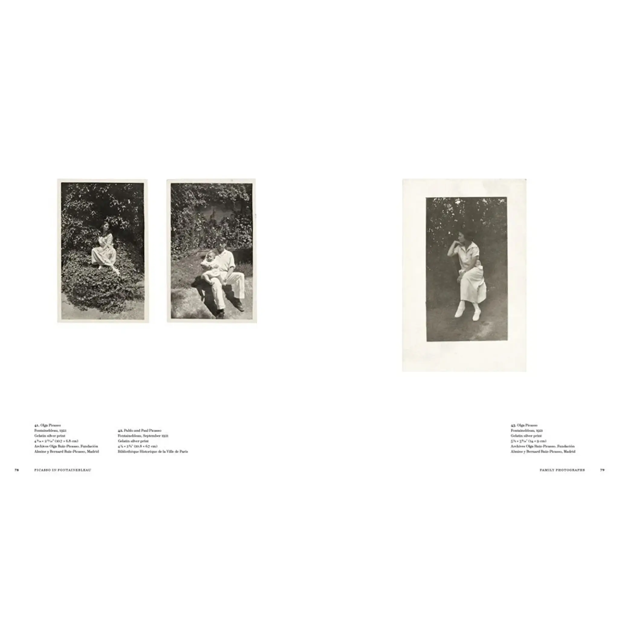 Picasso in Fontainebleau kunstbok