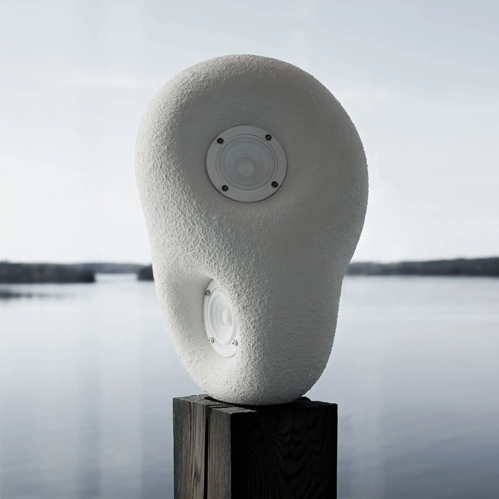 Acoustic Sculpture Speaker