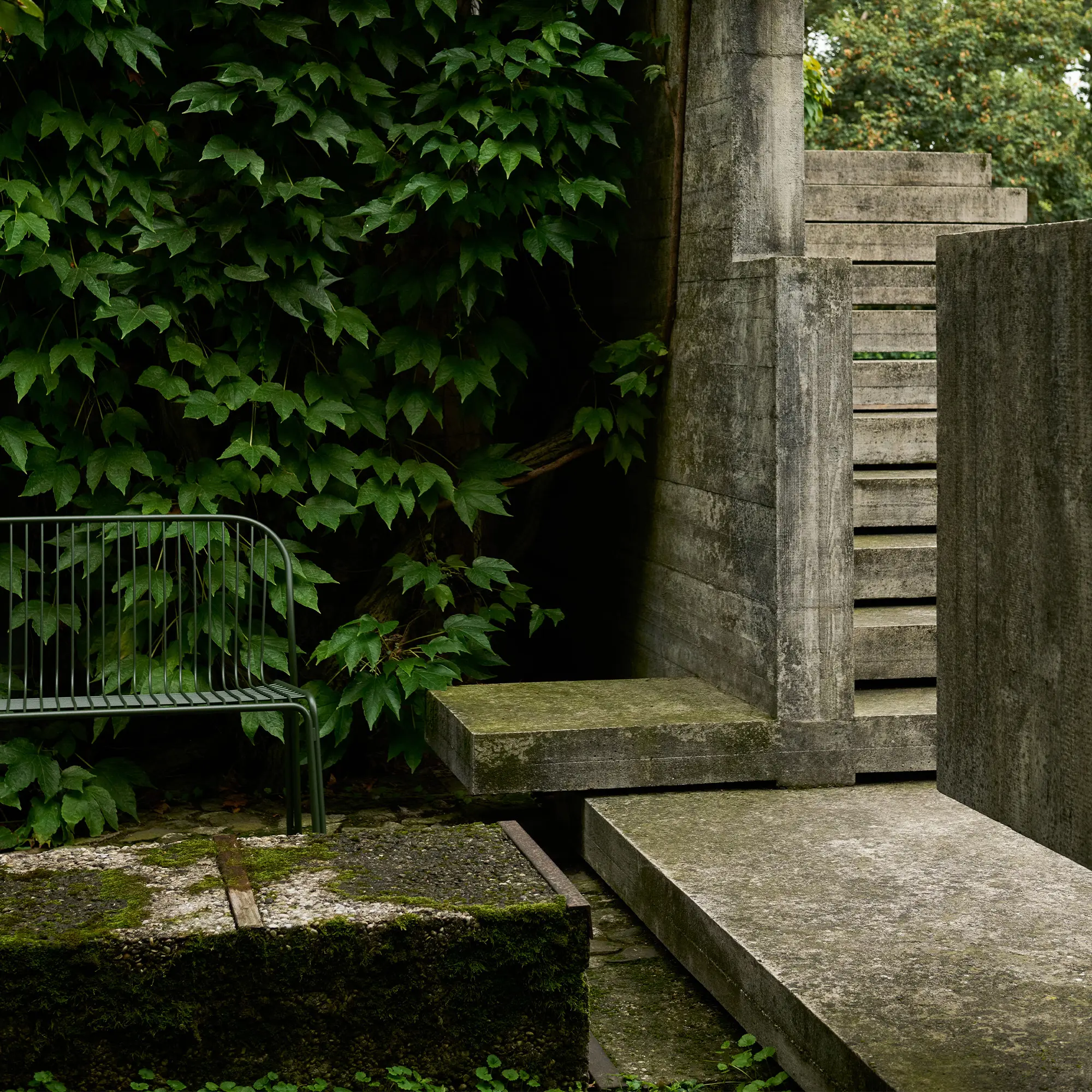 10811705__P_image_a8585a3d-b698-4d4d-9ac3-521912f7dbb2