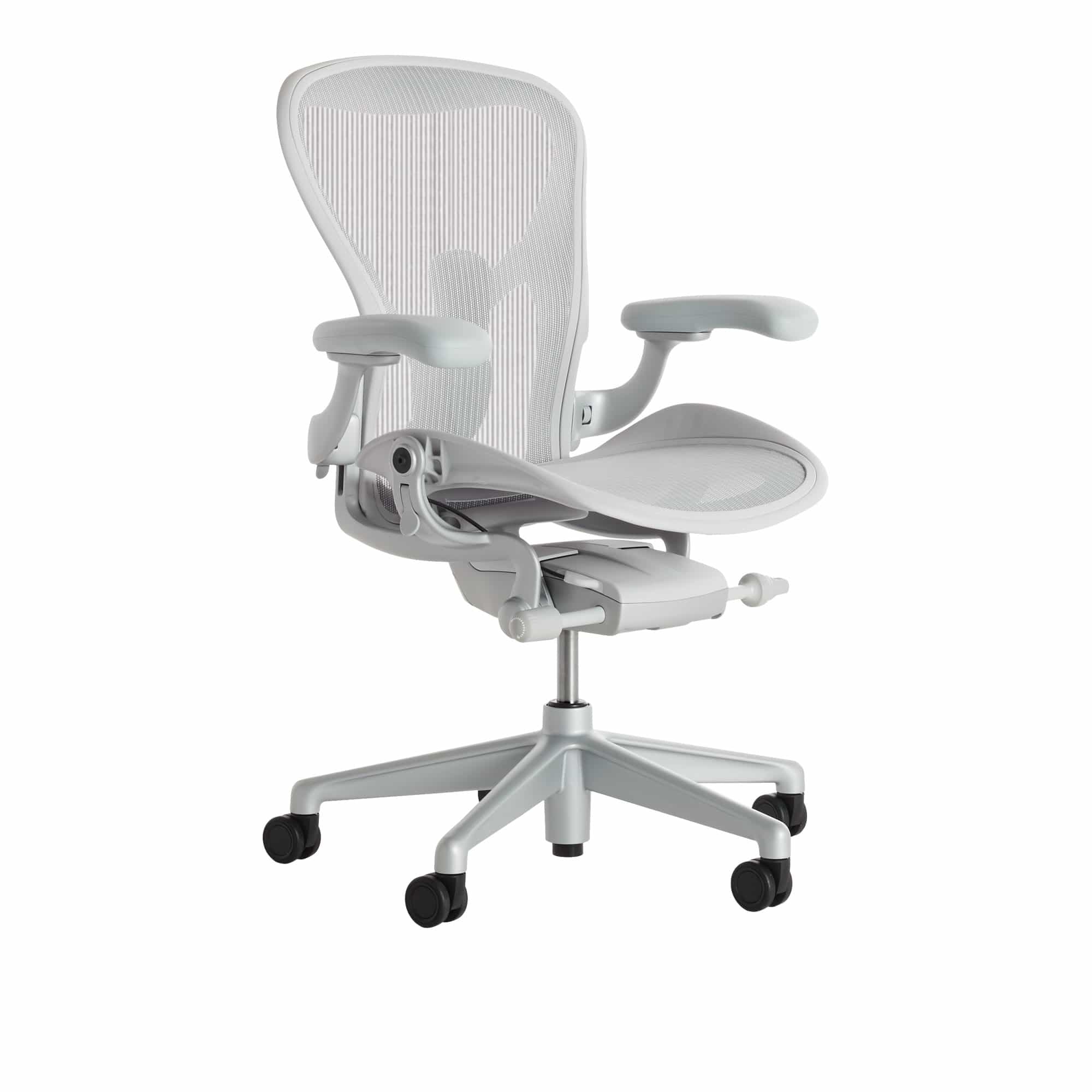 Aeron Chair PostureFit SL - Mineral/Dark Mineral