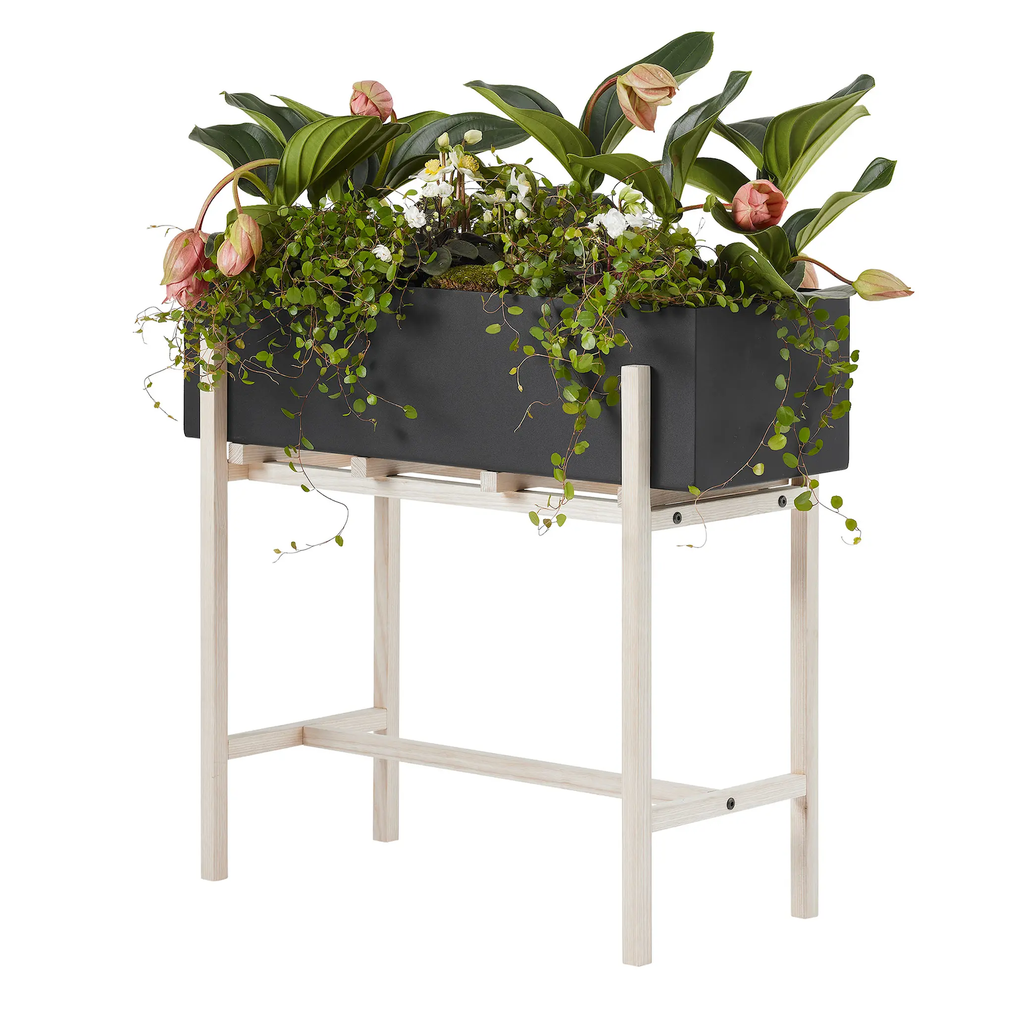 Botanic Stand