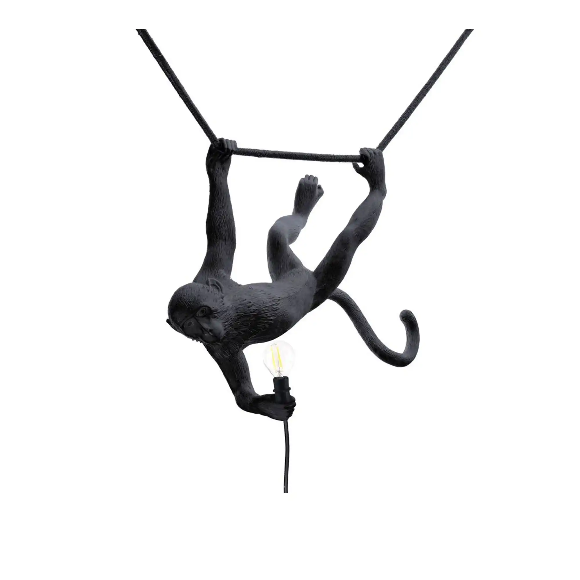 The Monkey Lamp Outdoor Swing, Black