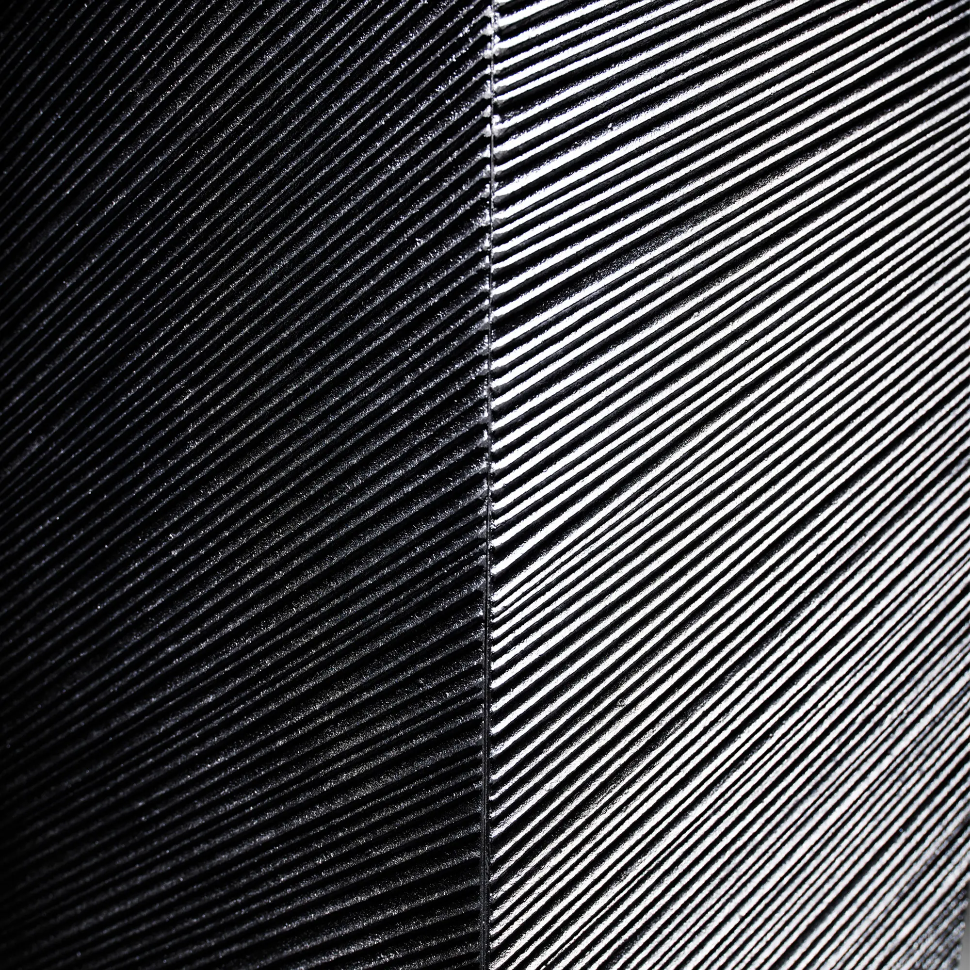 10729406__P_image_c419a94e-2d65-49ba-8bc1-f2968807017a