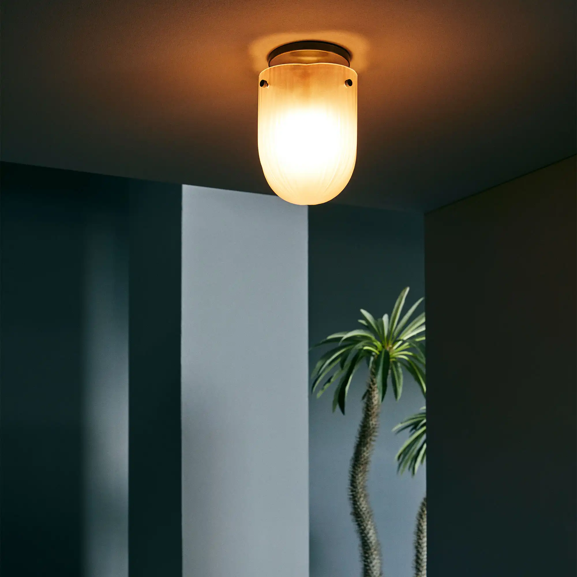 Seine taklampe