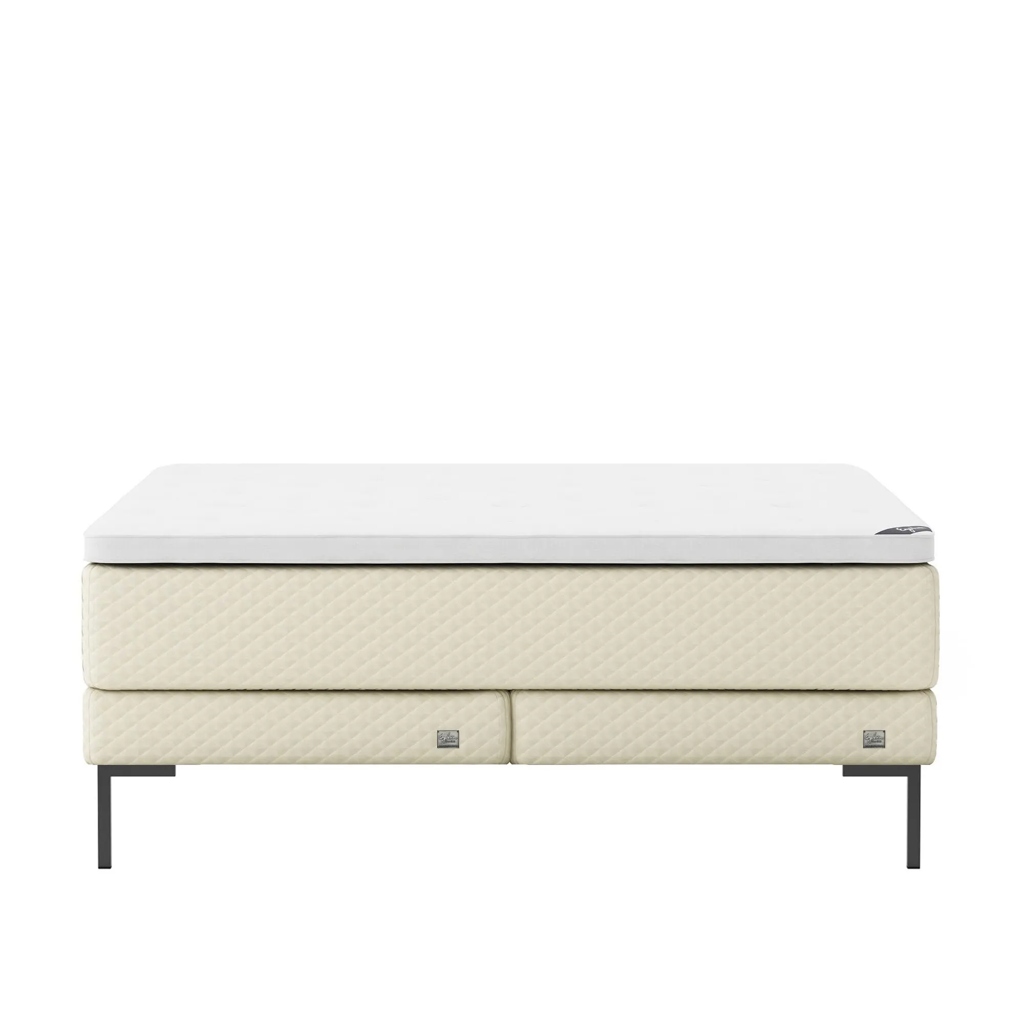 10748953__P_image_d53a6af1-ffed-46ae-bed4-ccac7b2152a9