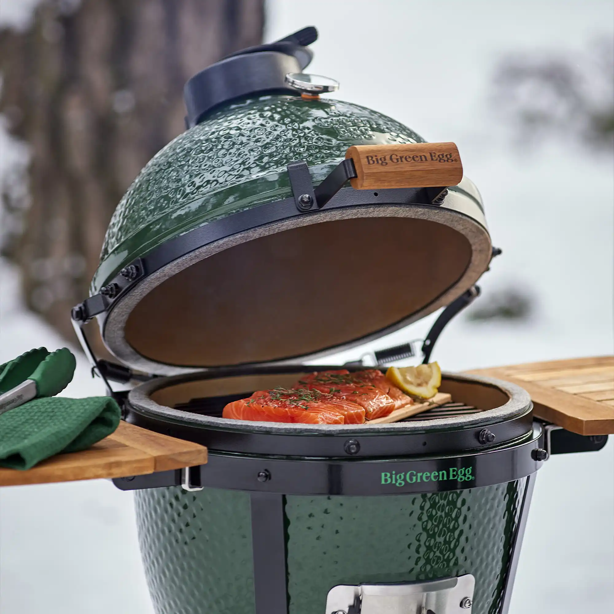 Big Green Egg MiniMax