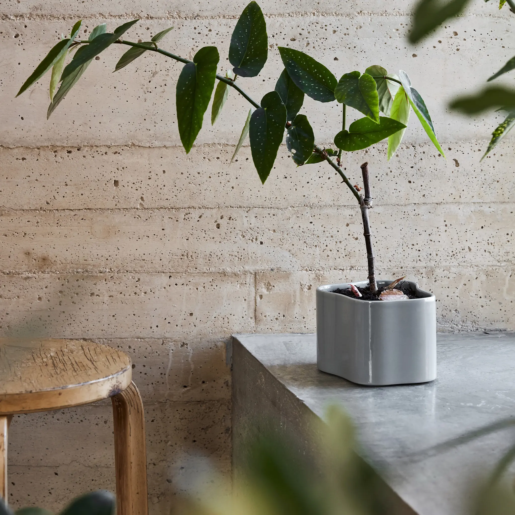 Riihitie Plant Pot Shape A Large White Gloss