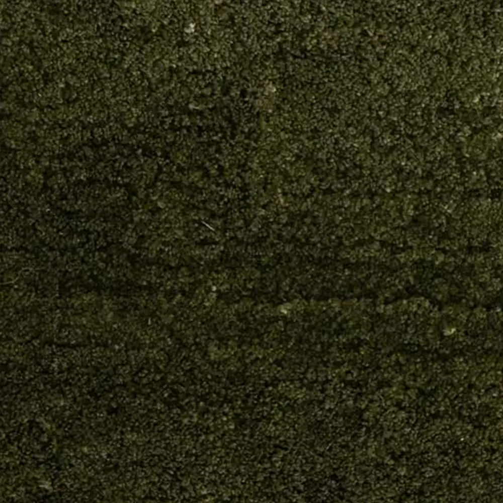 10722383__P_image_e0cab33d-057e-415f-b0eb-32a70a526bca