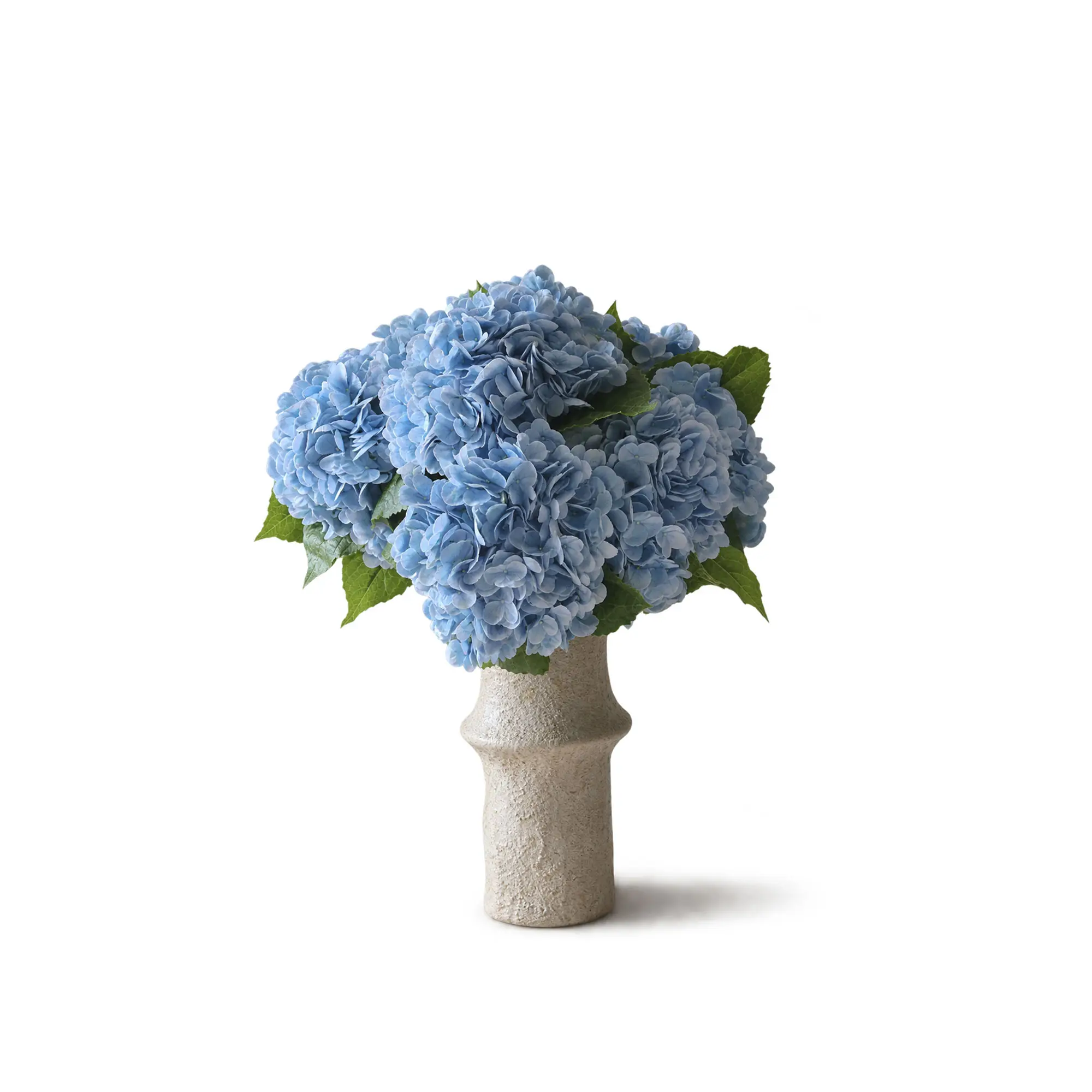 Hydrangea bukett