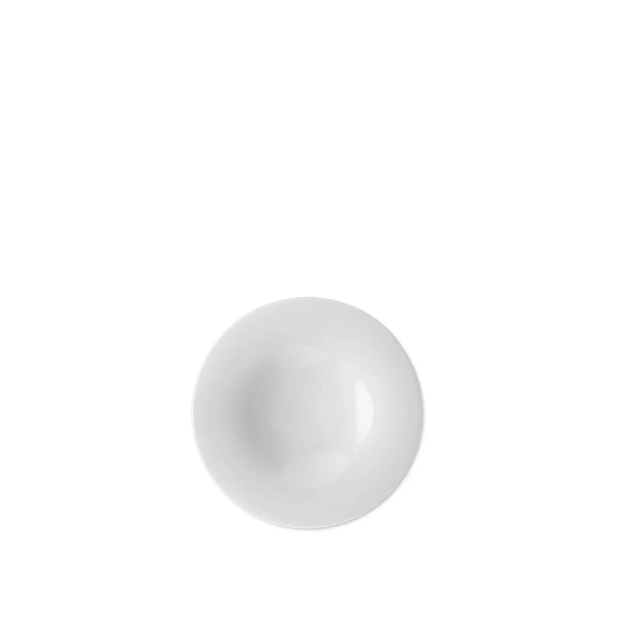 10737185__P_image_e21c514a-46c7-4c52-bc1d-61211b8d9124