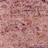 Boucle Ember