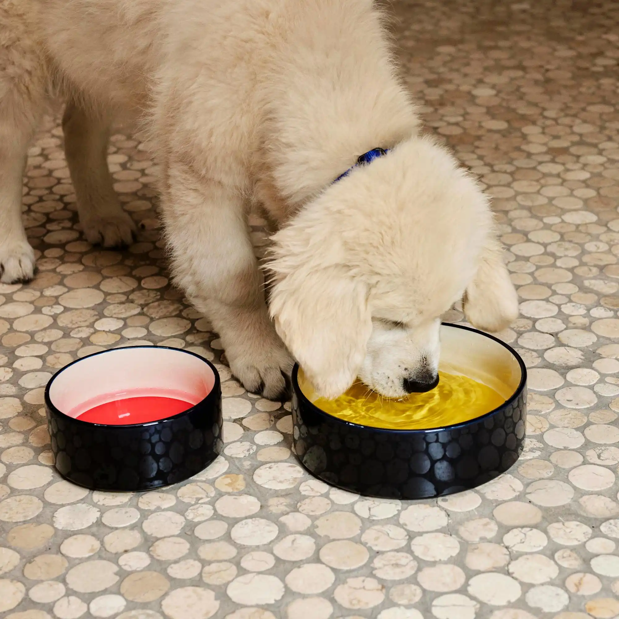 HAY Dogs Bowl Small