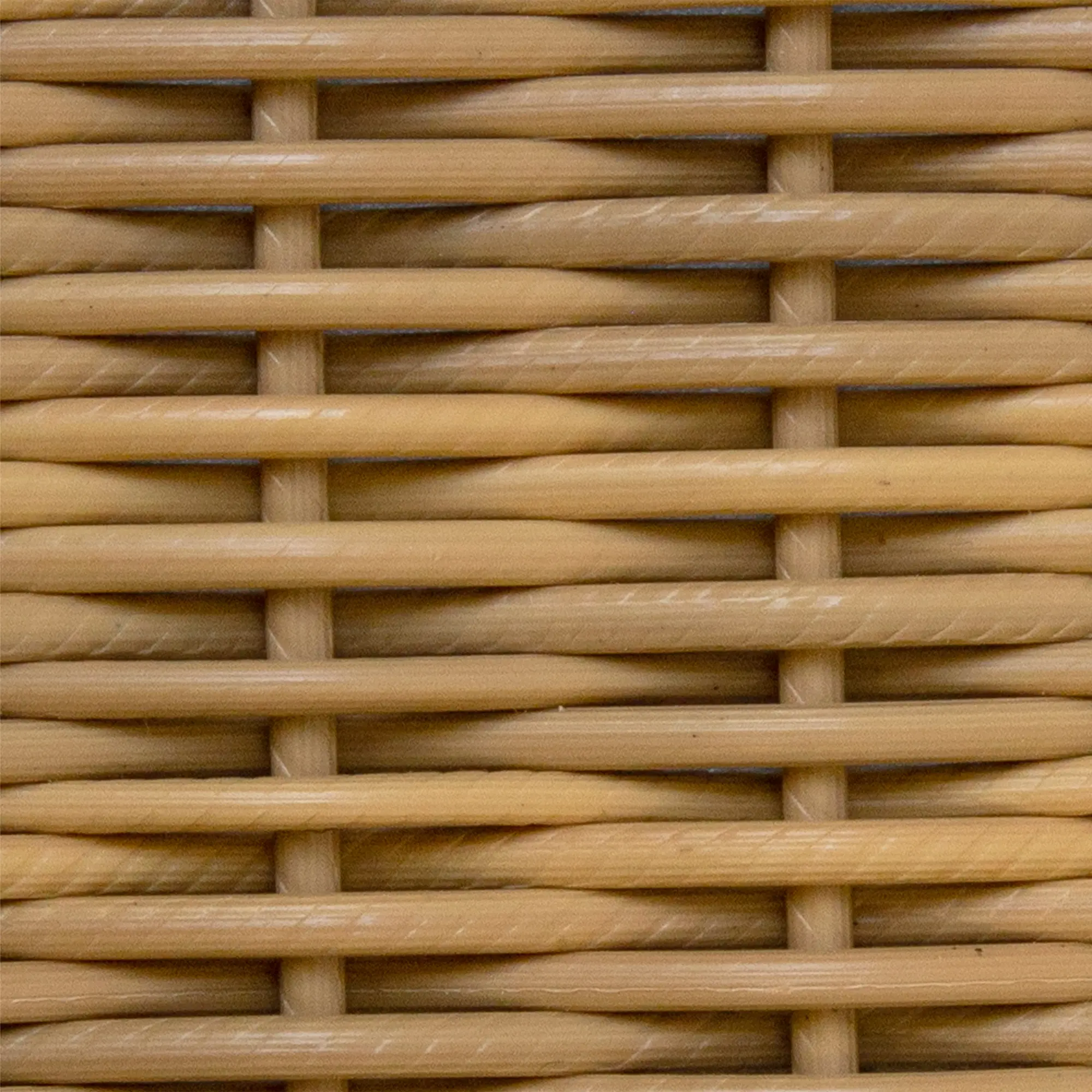 1001606__P_image_ebd4e215-5bfe-48b0-8d9f-b68a65312c39