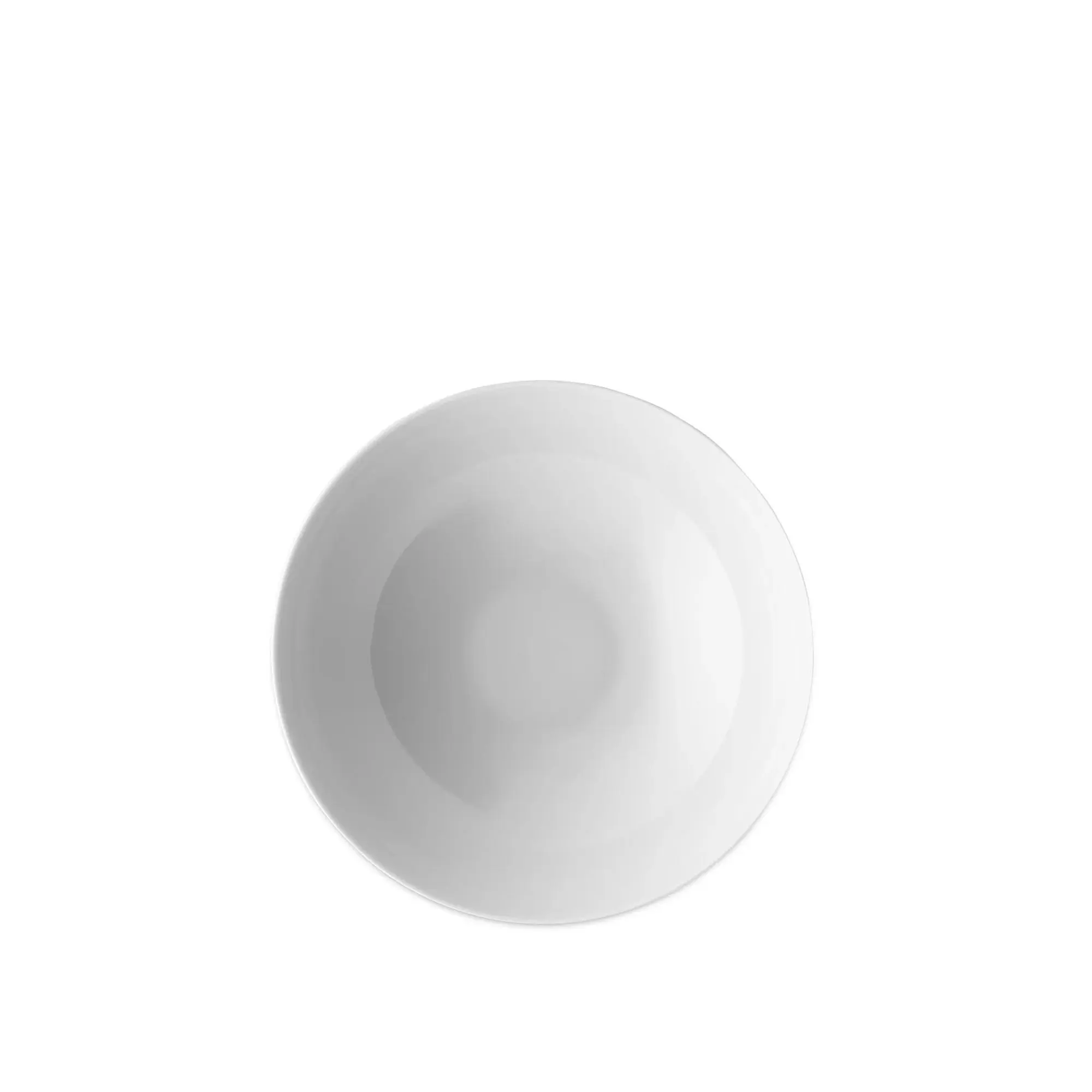 10737087__P_image_ef1d0635-fcd6-4ca3-9ff9-d7f40fe40995