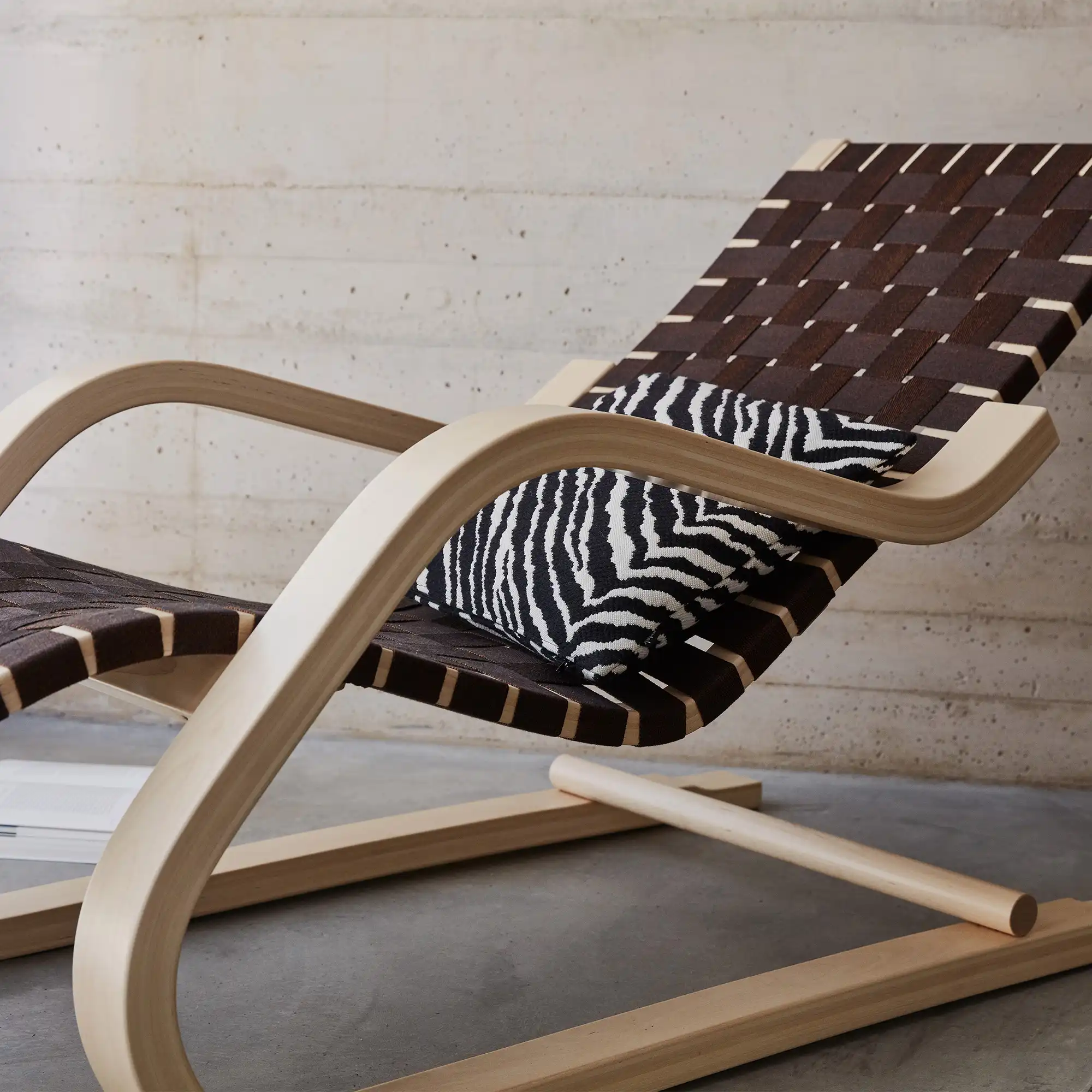Zebra putetrekk