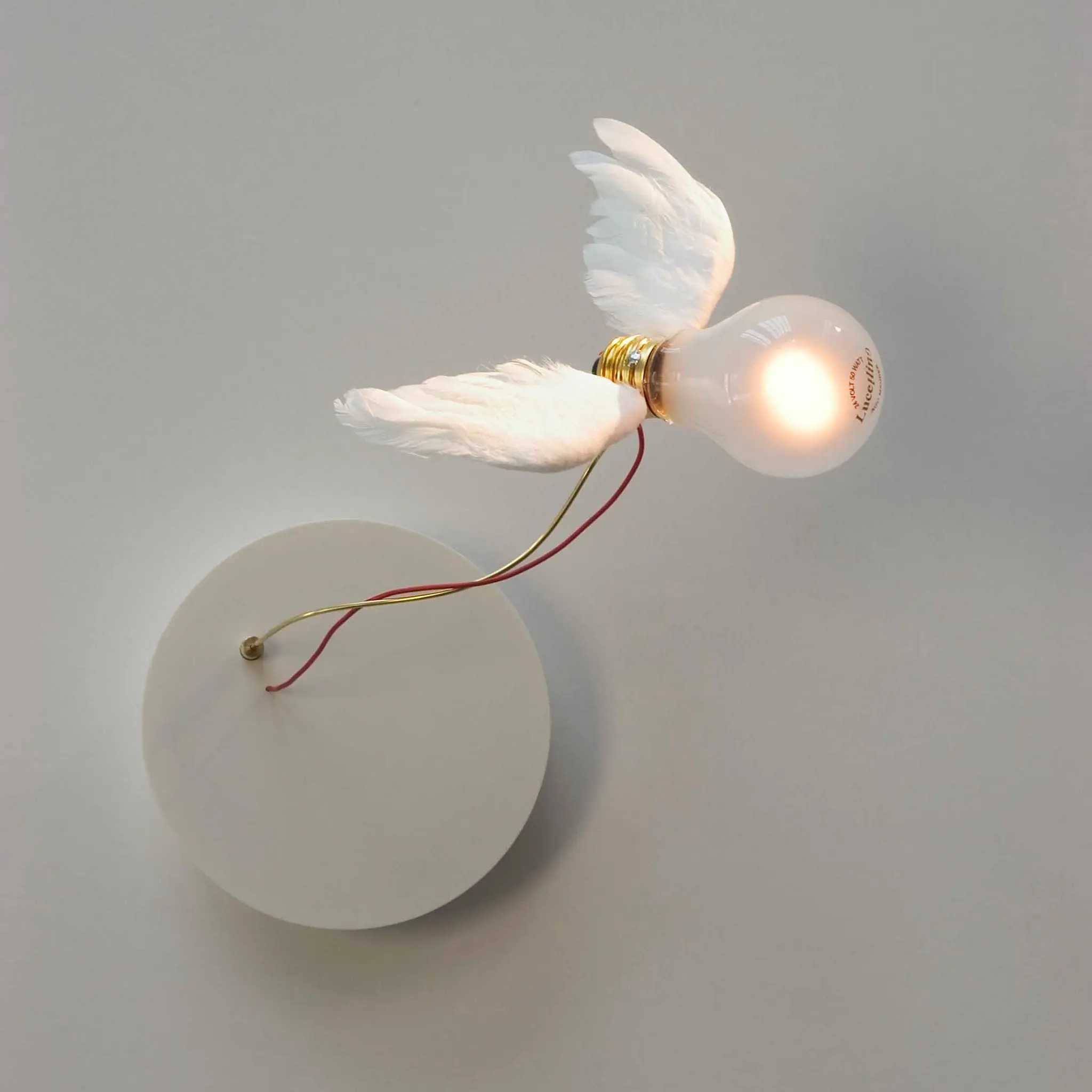 Lucellino vegglampe