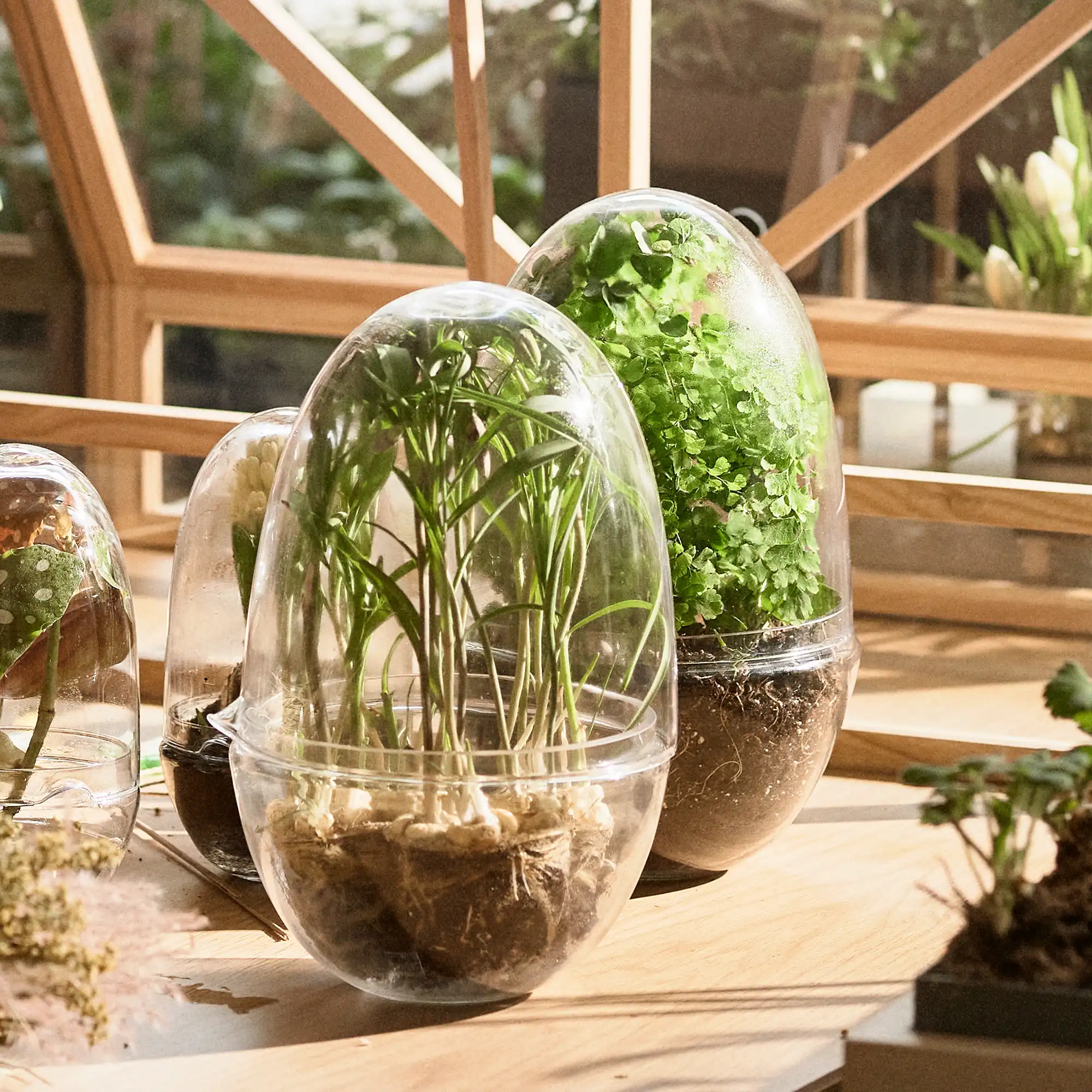 Grow Greenhouse