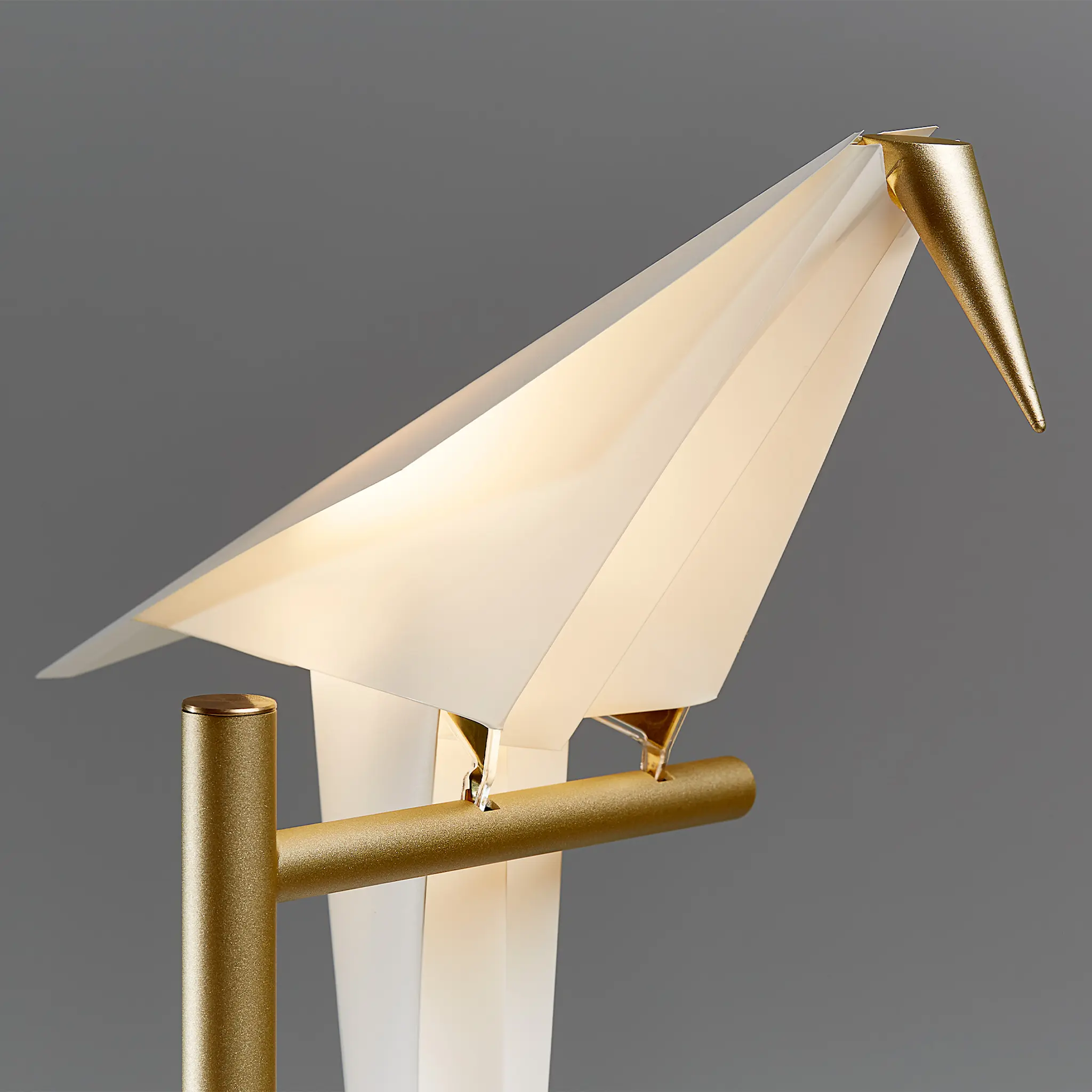 Perch Light Table